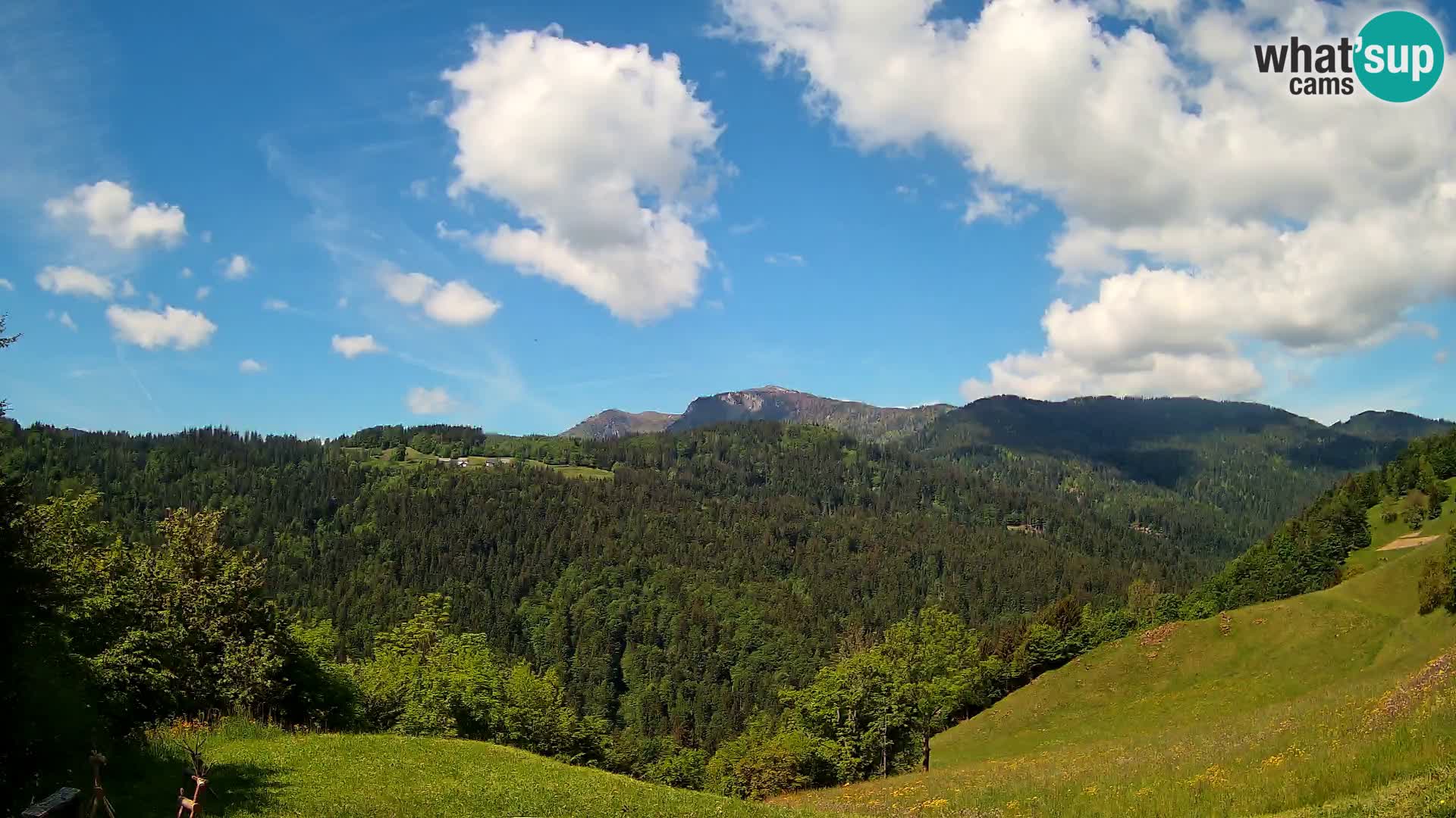 Webcam Brunarica Dražgoše – Live View of Ratitovec (1666 m)