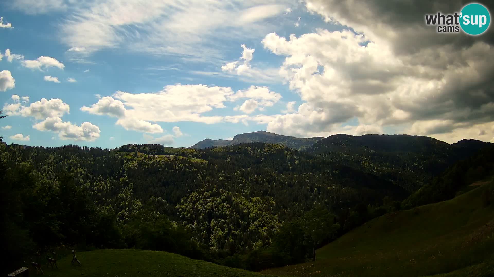 Webcam Brunarica Dražgoše – Live View of Ratitovec (1666 m)