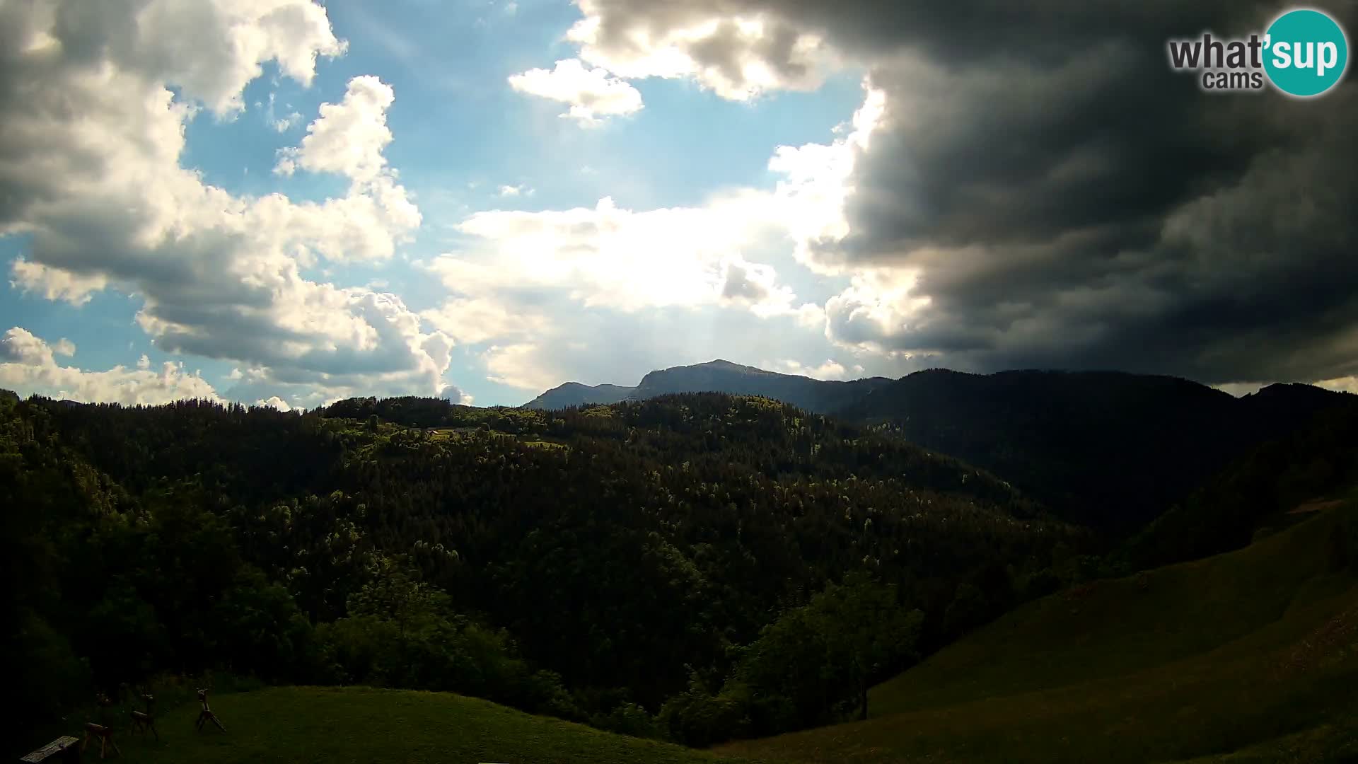 Webcam Brunarica Dražgoše – Live View of Ratitovec (1666 m)