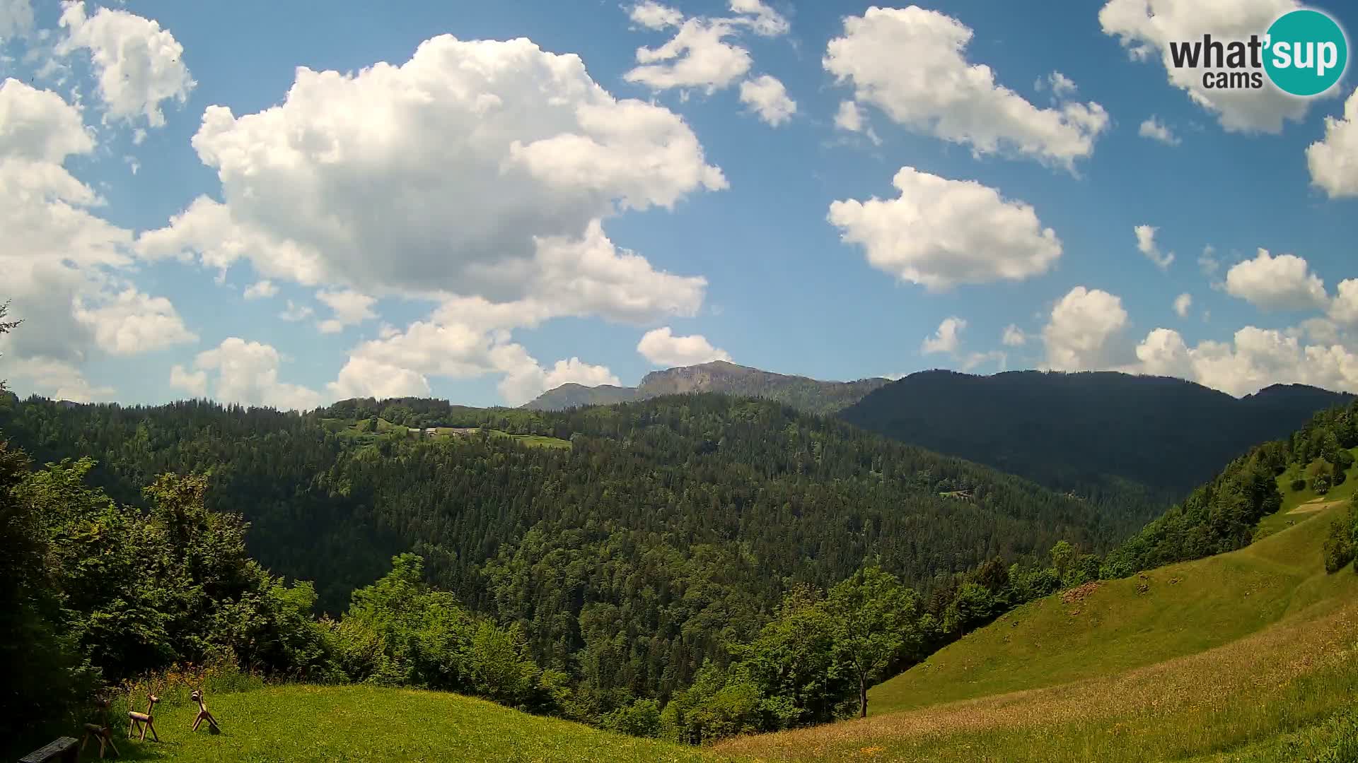 Webcam Brunarica Dražgoše – Live View of Ratitovec (1666 m)