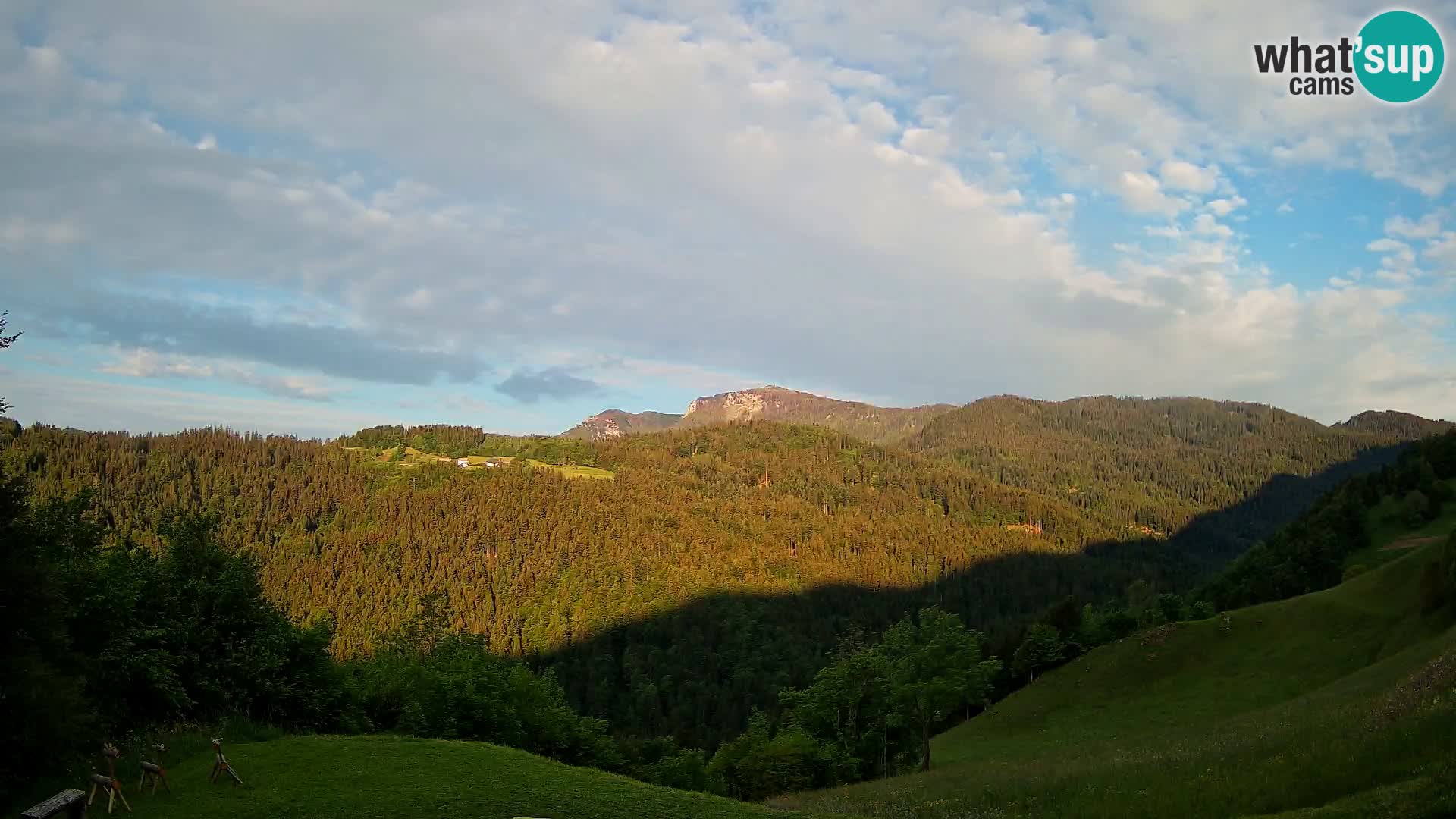 Webcam Brunarica Dražgoše – Live View of Ratitovec (1666 m)
