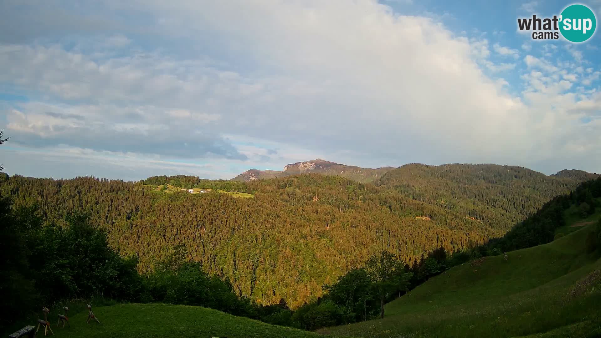 Webcam Brunarica Dražgoše – Live View of Ratitovec (1666 m)