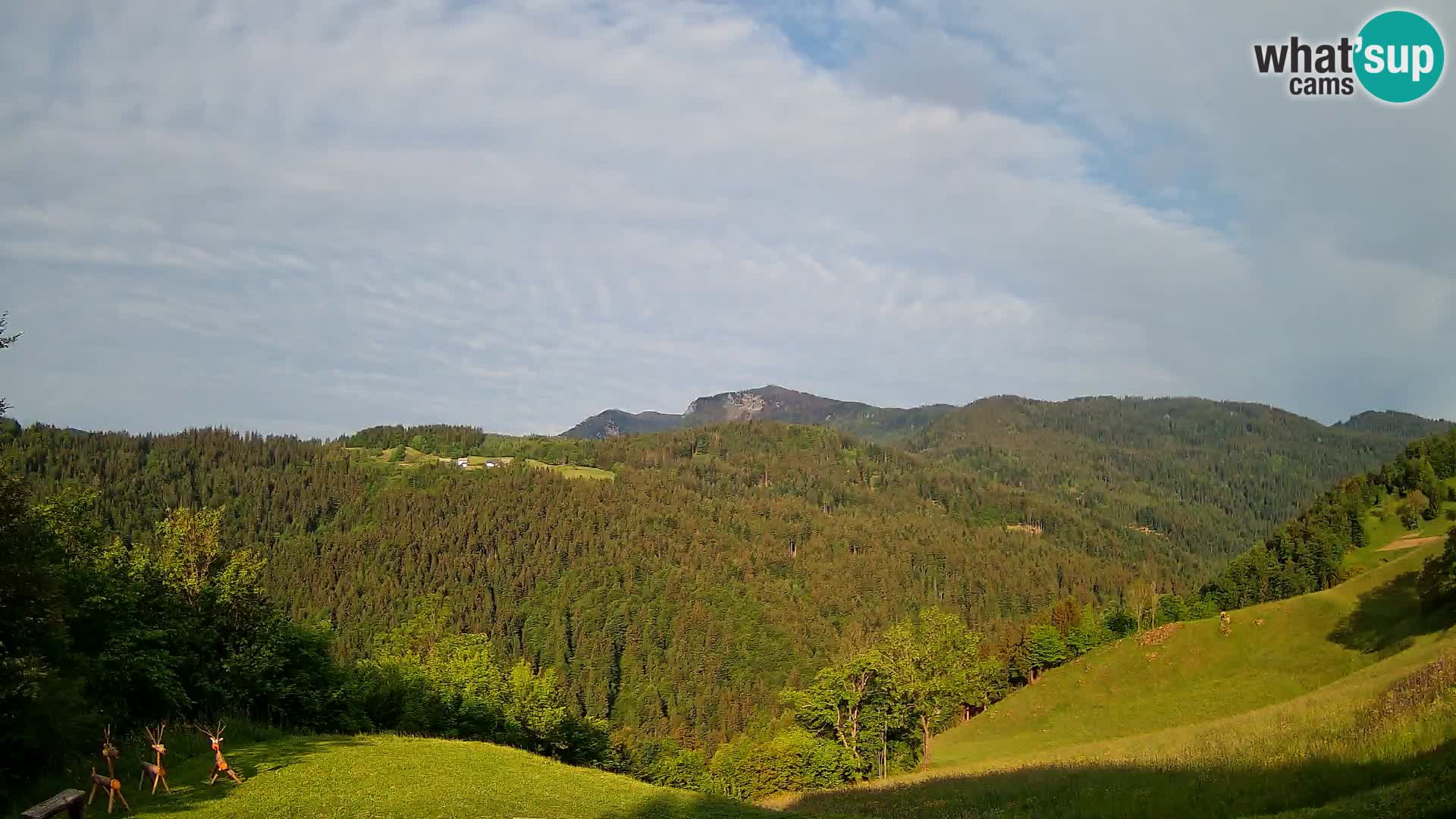Webcam Brunarica Dražgoše – Live View of Ratitovec (1666 m)