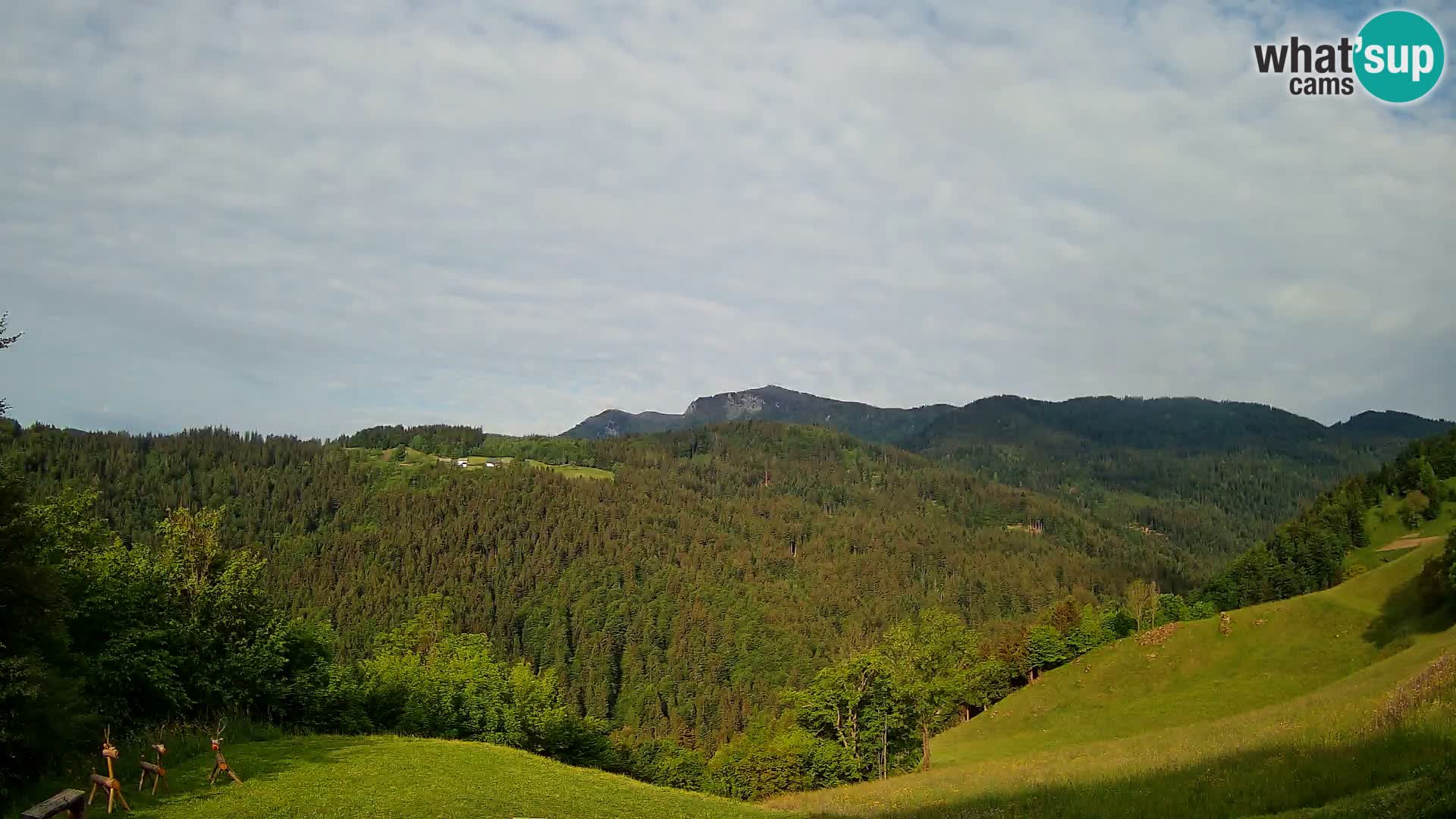 Webcam Brunarica Dražgoše – Live View of Ratitovec (1666 m)