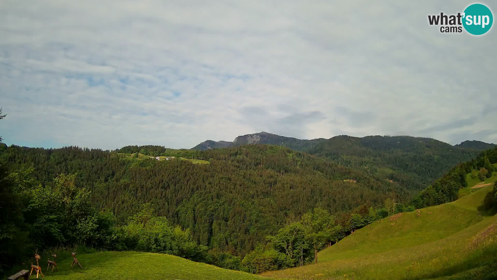 Webcam Brunarica Dražgoše – Live View of Ratitovec (1666 m)