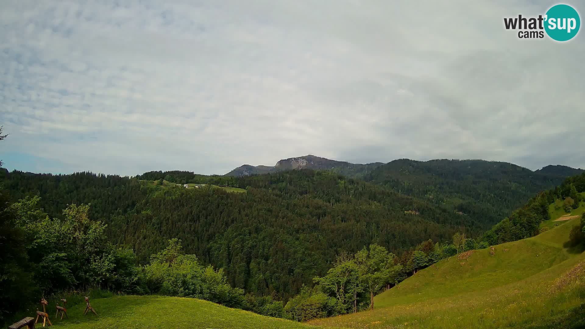 Spletna kamera Brunarica Dražgoše – Pogled v živo na Ratitovec (1666 m)
