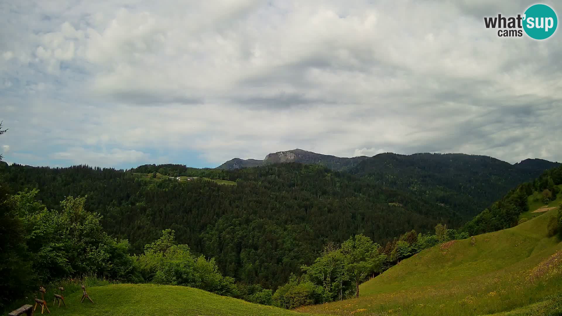 Webcam Brunarica Dražgoše – Live View of Ratitovec (1666 m)