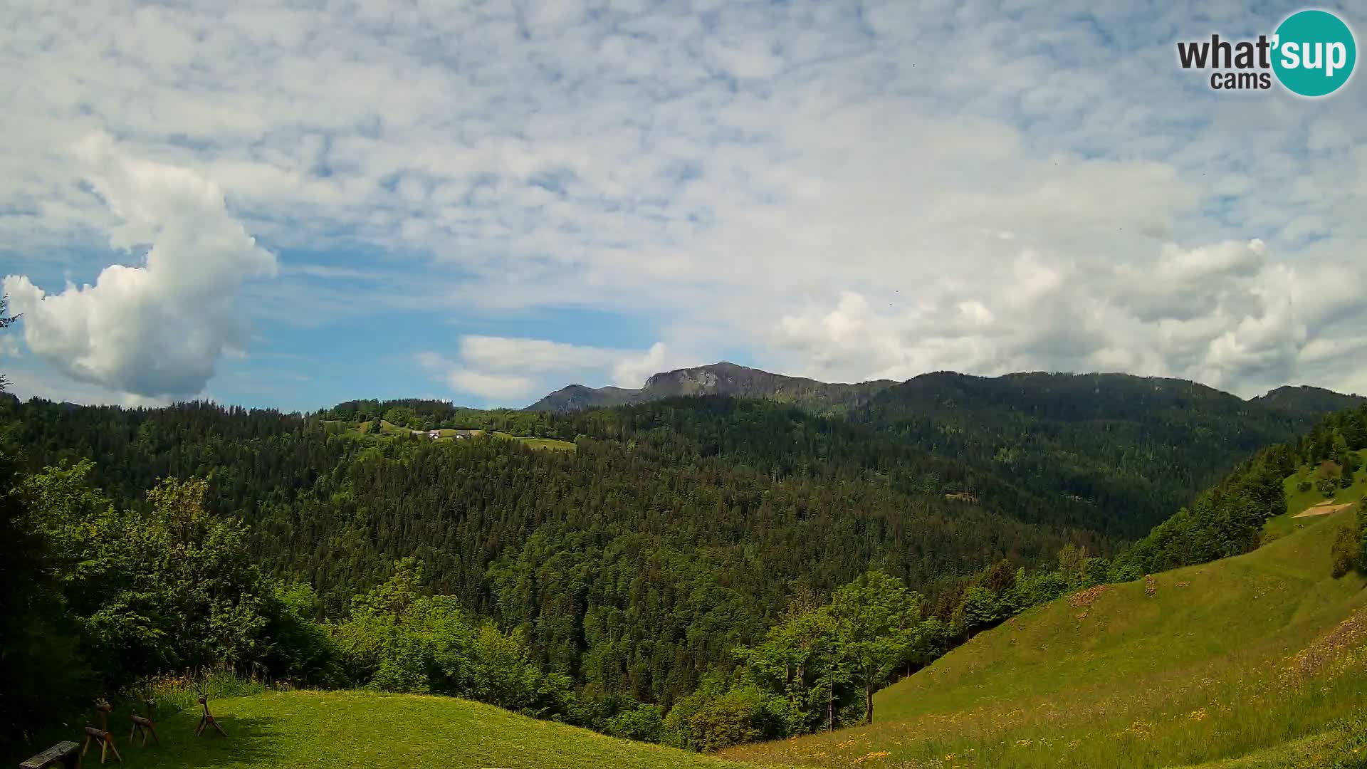 Webcam Brunarica Dražgoše – Live View of Ratitovec (1666 m)