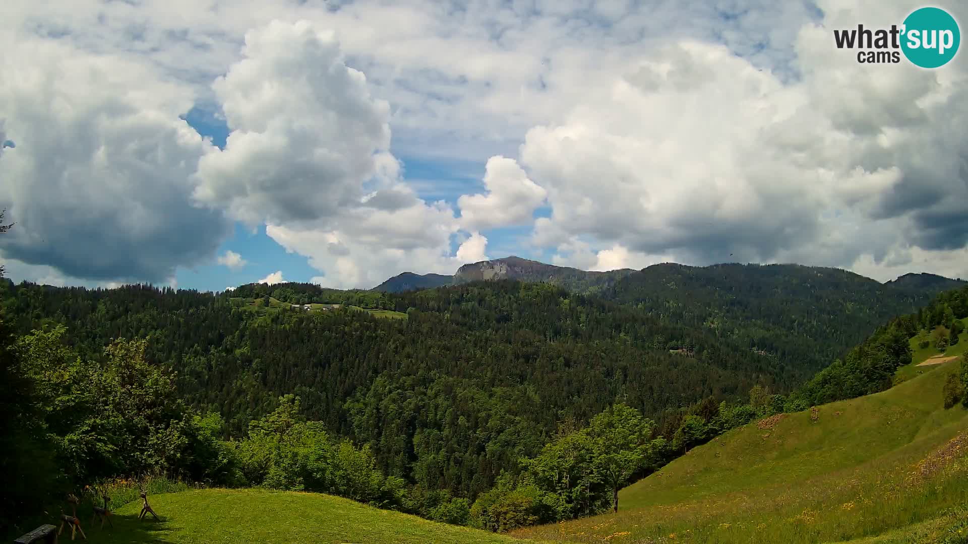 Webcam Brunarica Dražgoše – Live View of Ratitovec (1666 m)