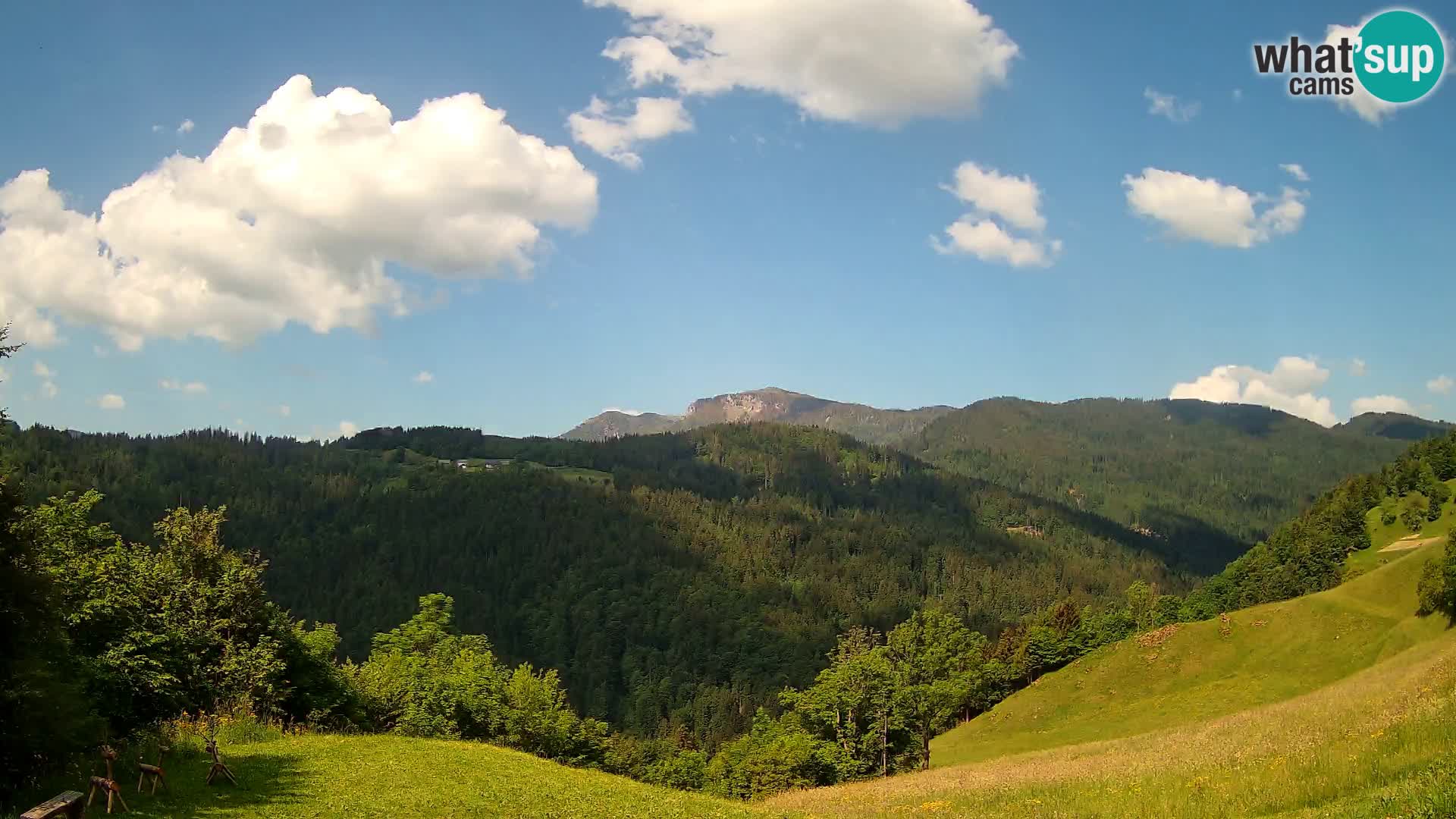 Webcam Brunarica Dražgoše – Vista live sul Ratitovec (1666 m)