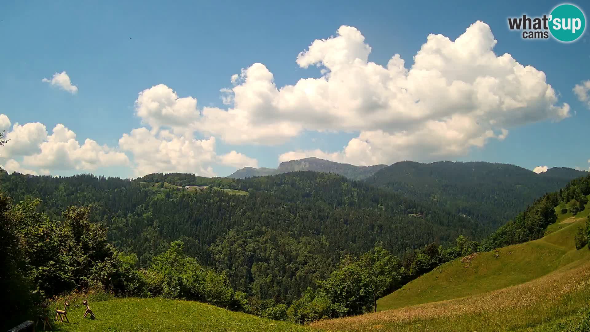 Webcam Brunarica Dražgoše – Live View of Ratitovec (1666 m)