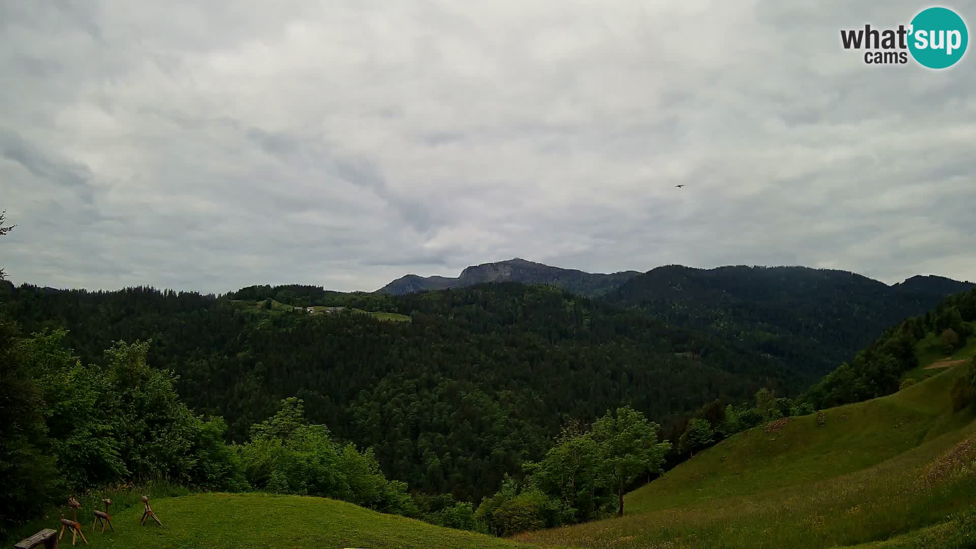 Webcam Brunarica Dražgoše – Live View of Ratitovec (1666 m)