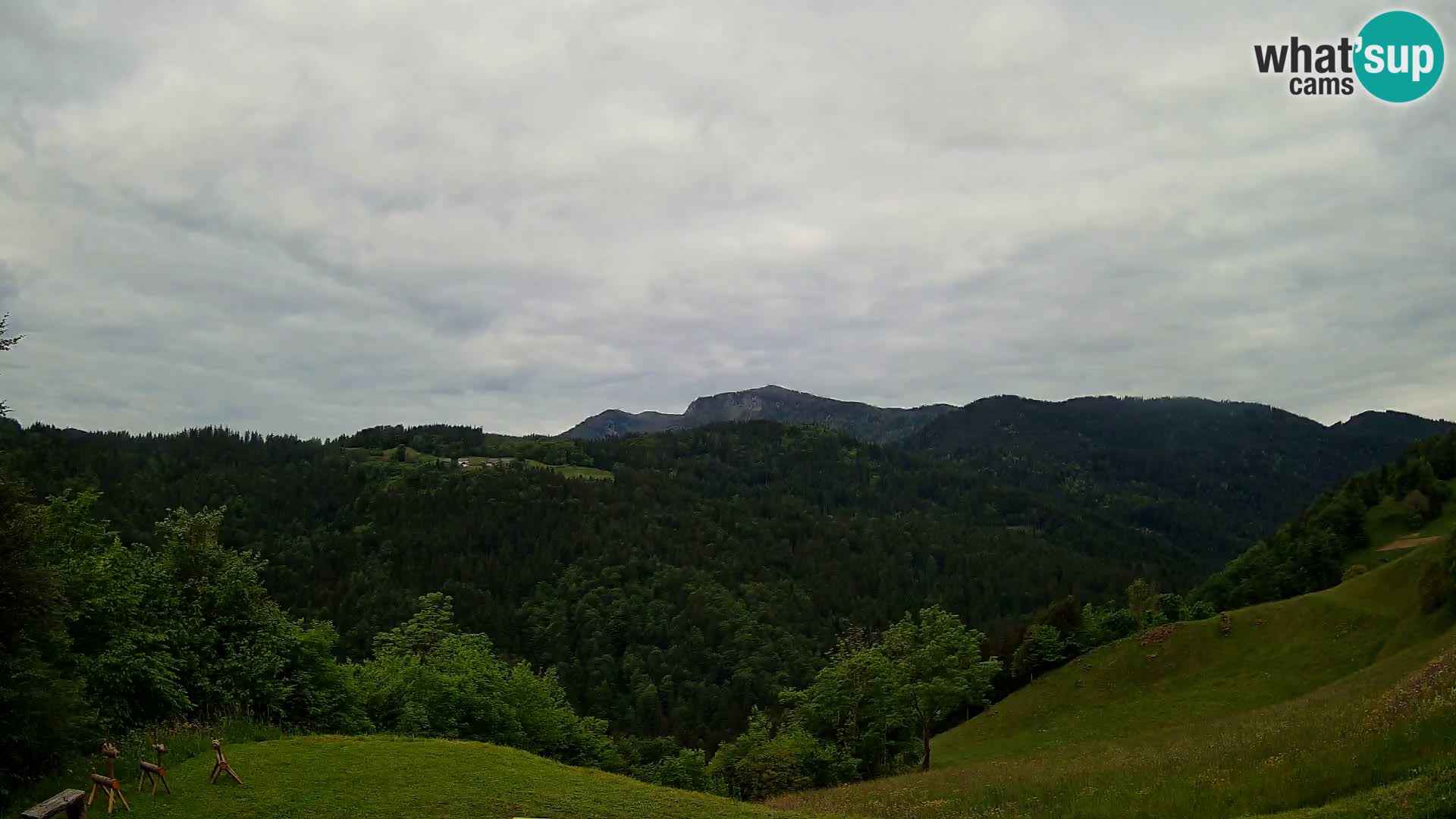 Webcam Brunarica Dražgoše – Live View of Ratitovec (1666 m)