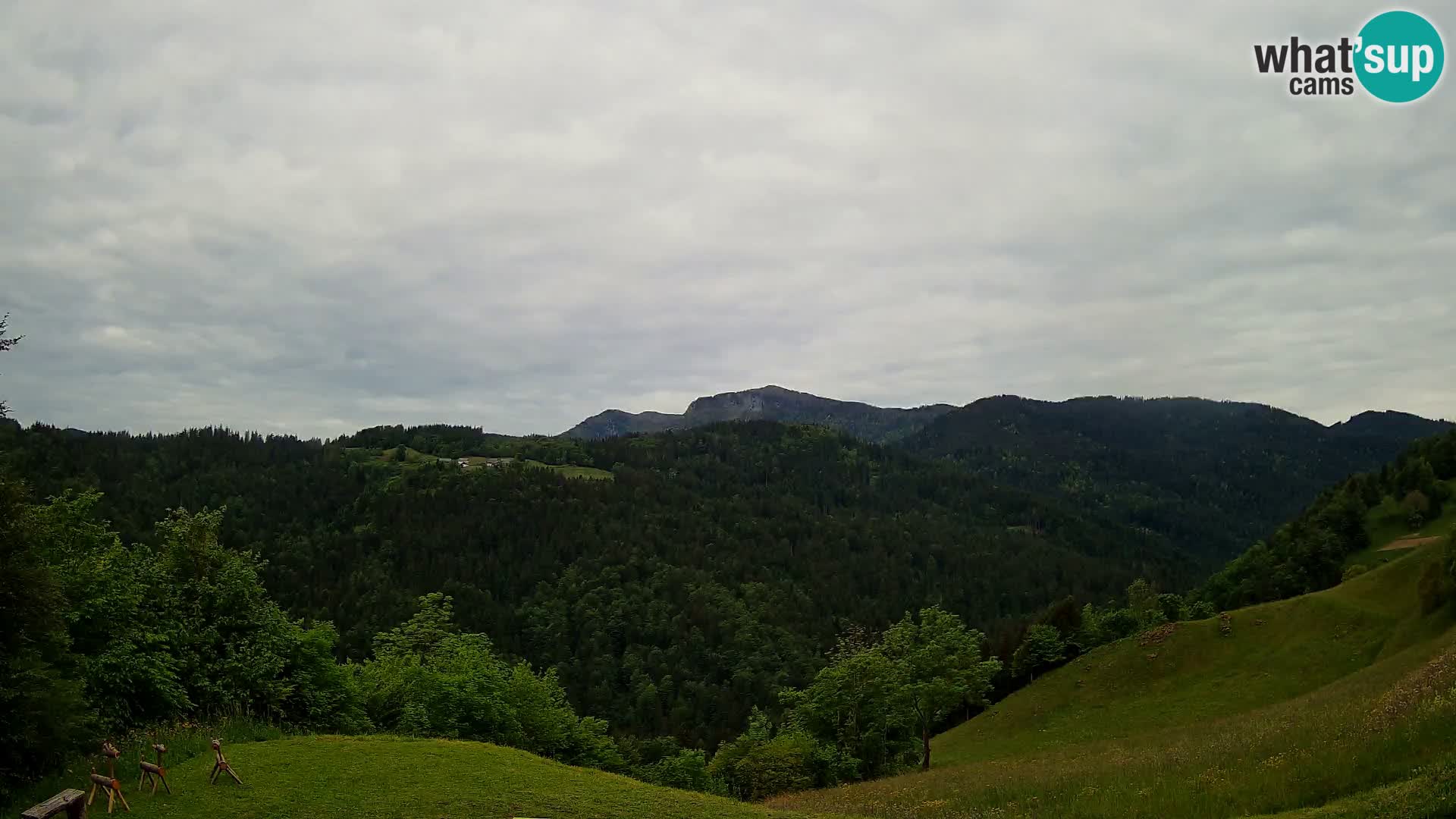 Webcam Brunarica Dražgoše – Live View of Ratitovec (1666 m)
