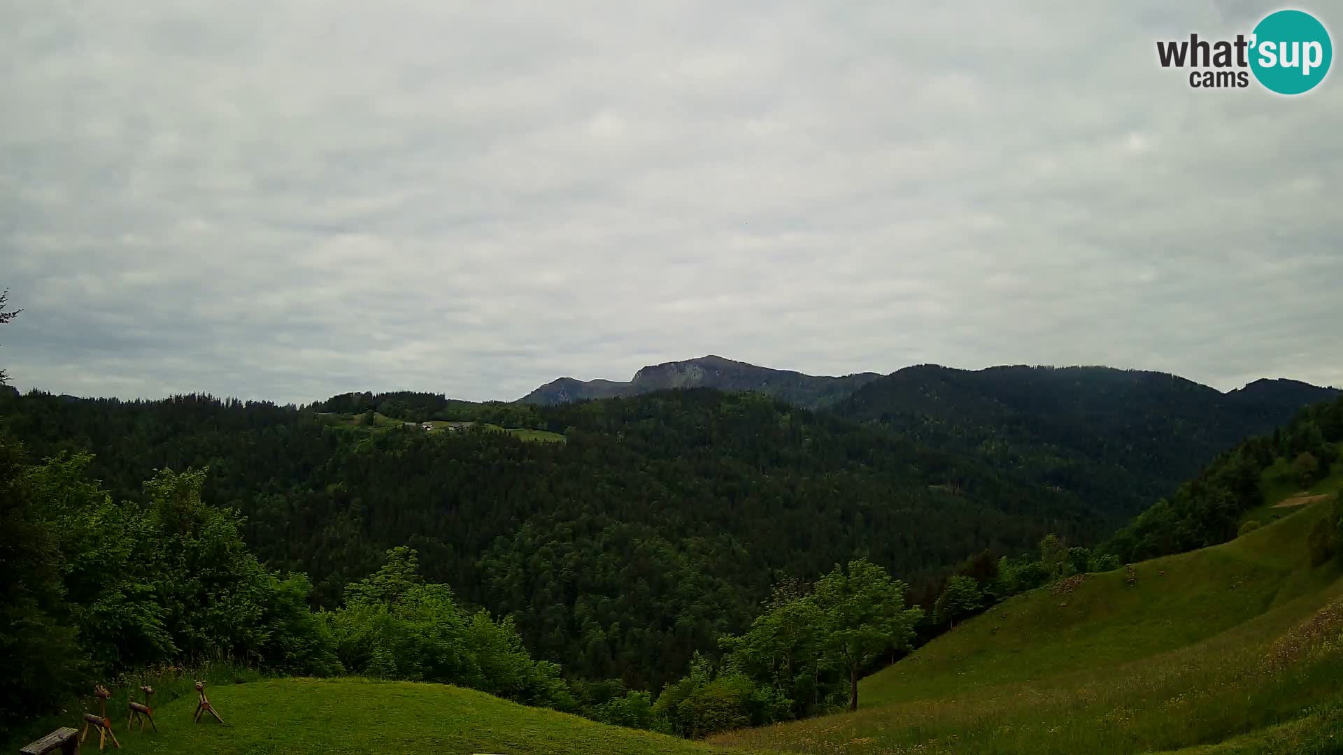 Web kamera Brunarica Dražgoše – Pogled uživo na Ratitovec (1666 m)