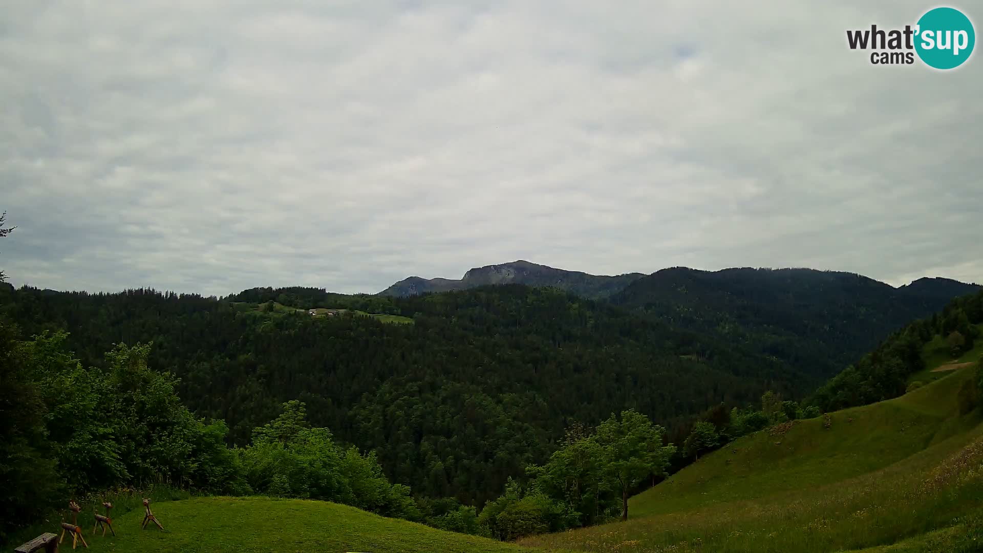 Webcam Brunarica Dražgoše – Live View of Ratitovec (1666 m)