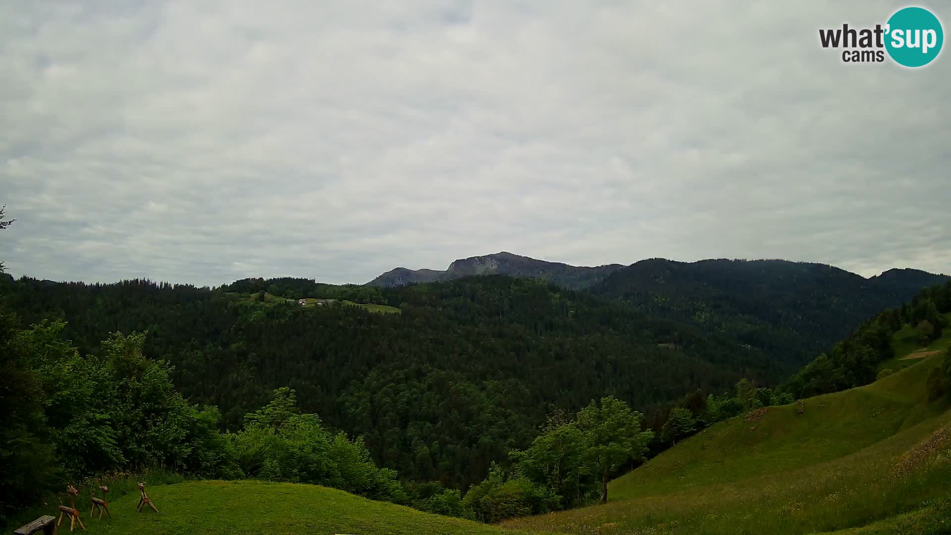 Webcam Brunarica Dražgoše – Live View of Ratitovec (1666 m)
