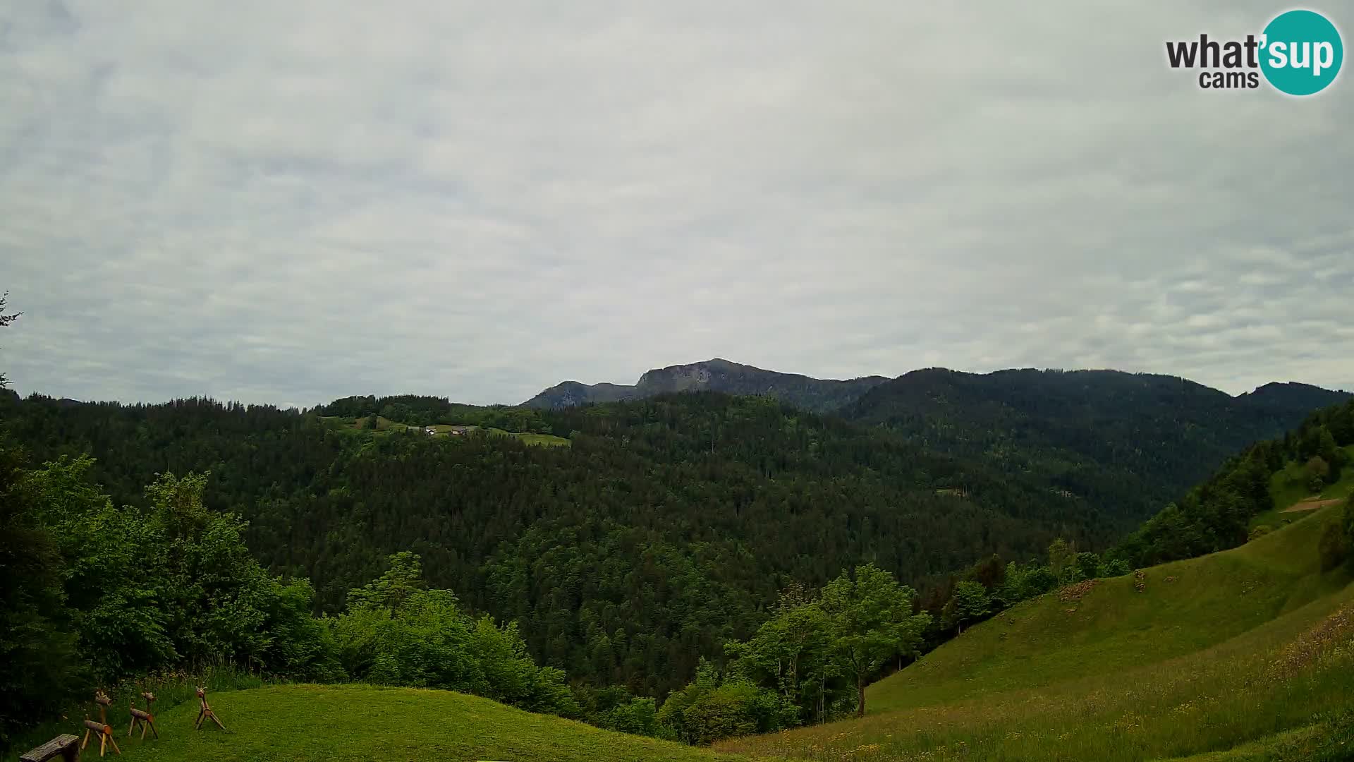 Spletna kamera Brunarica Dražgoše – Pogled v živo na Ratitovec (1666 m)