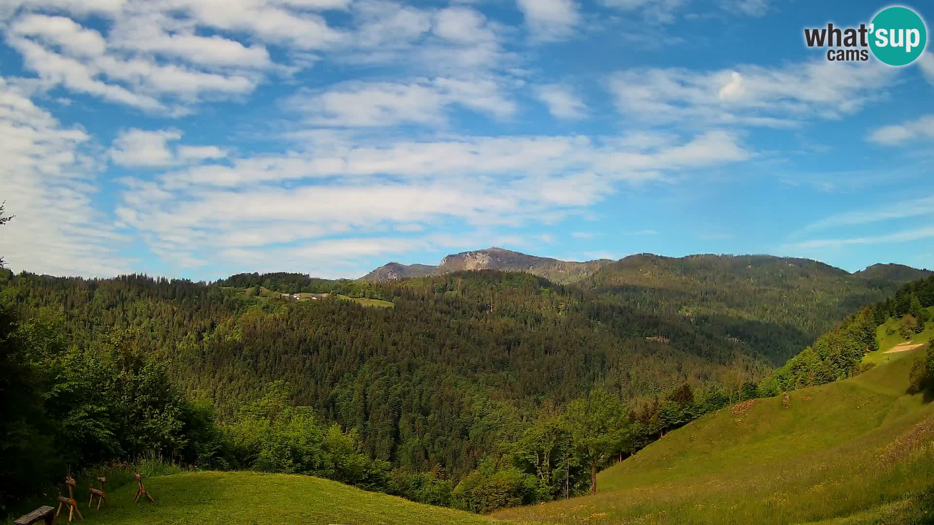 Spletna kamera Brunarica Dražgoše – Pogled v živo na Ratitovec (1666 m)