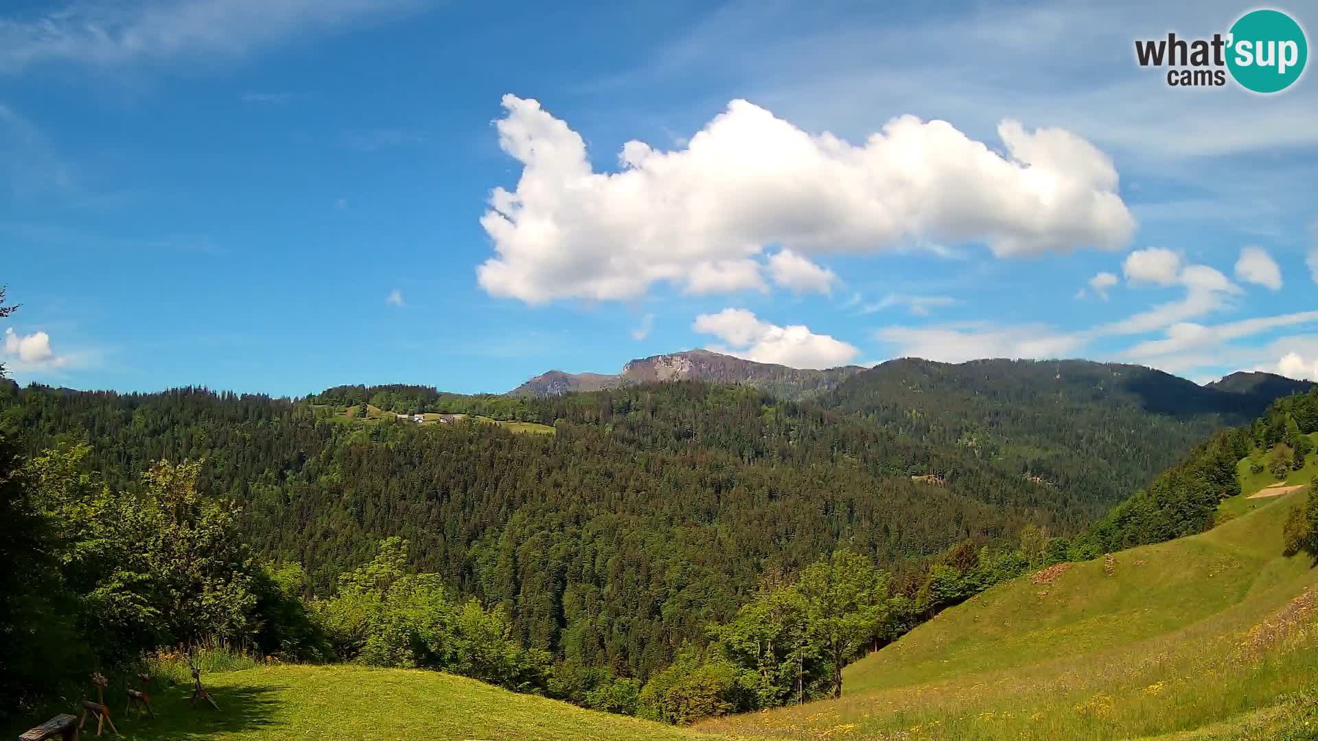 Webcam Brunarica Dražgoše – Live View of Ratitovec (1666 m)
