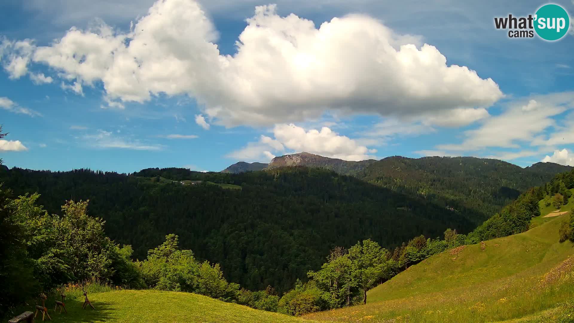 Spletna kamera Brunarica Dražgoše – Pogled v živo na Ratitovec (1666 m)