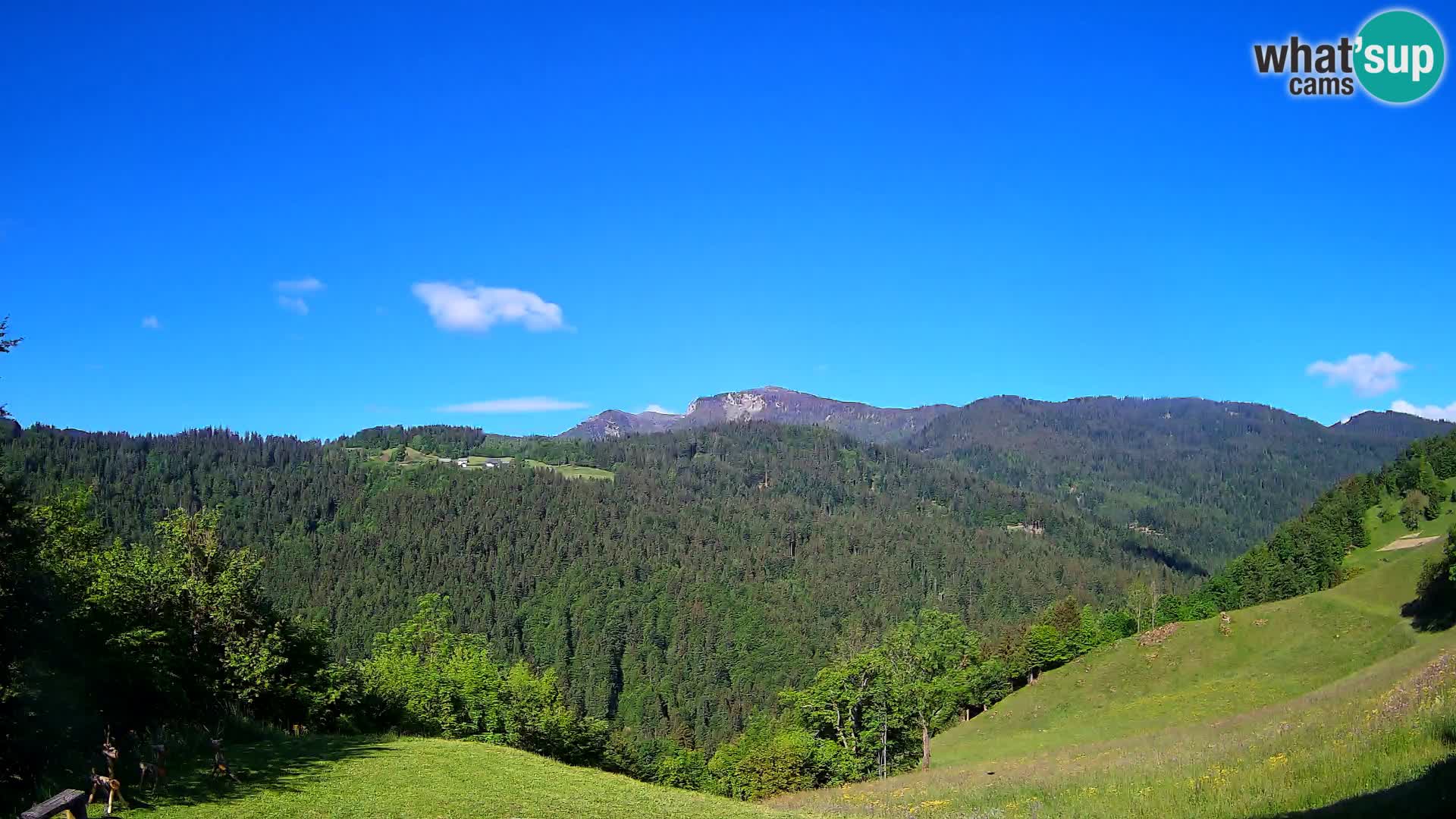 Webcam Brunarica Dražgoše – Vista live sul Ratitovec (1666 m)