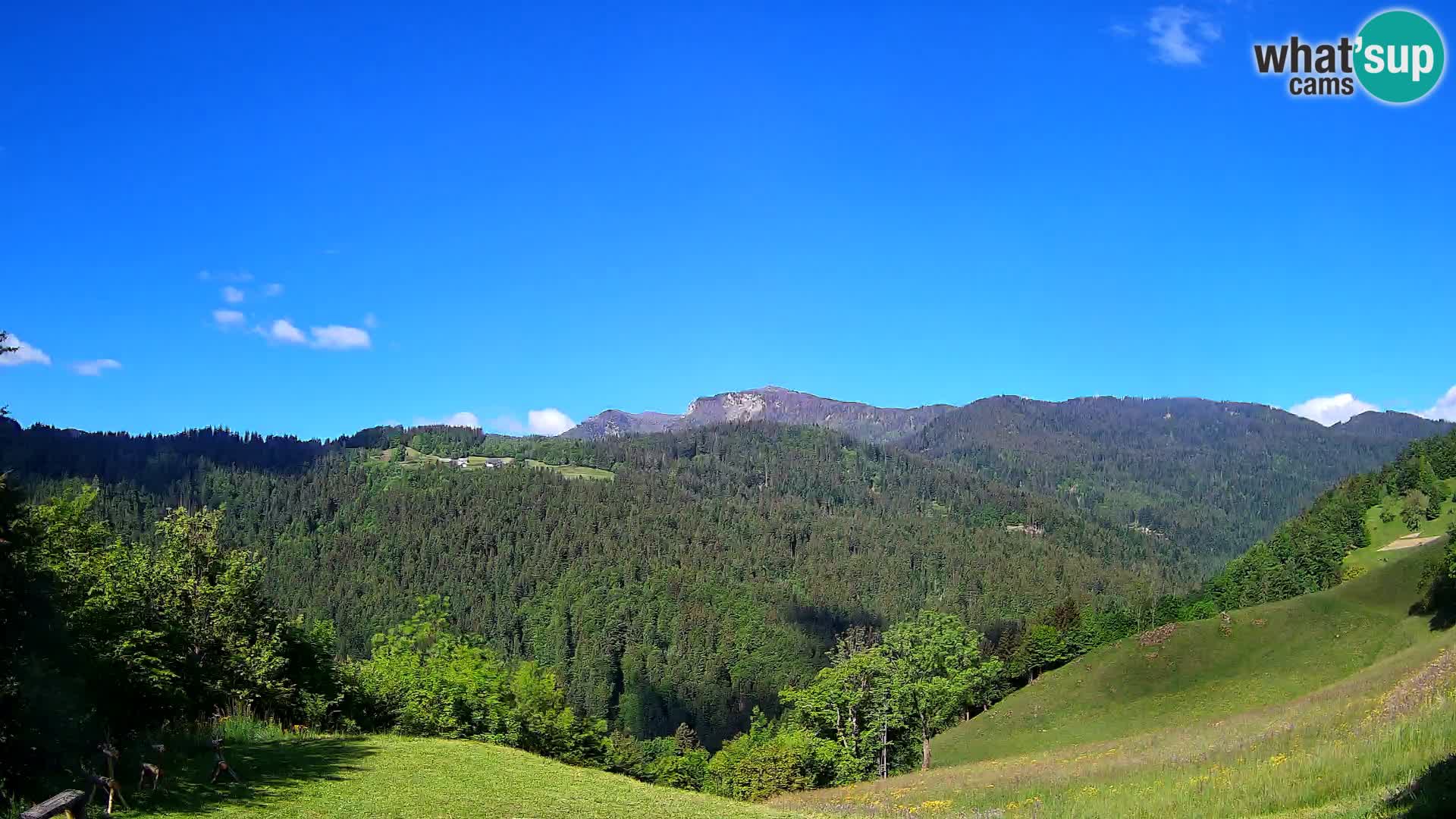 Webcam Brunarica Dražgoše – Live View of Ratitovec (1666 m)