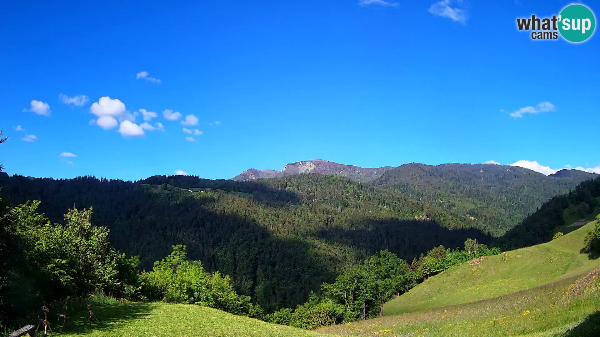 Webcam Brunarica Dražgoše – Live View of Ratitovec (1666 m)