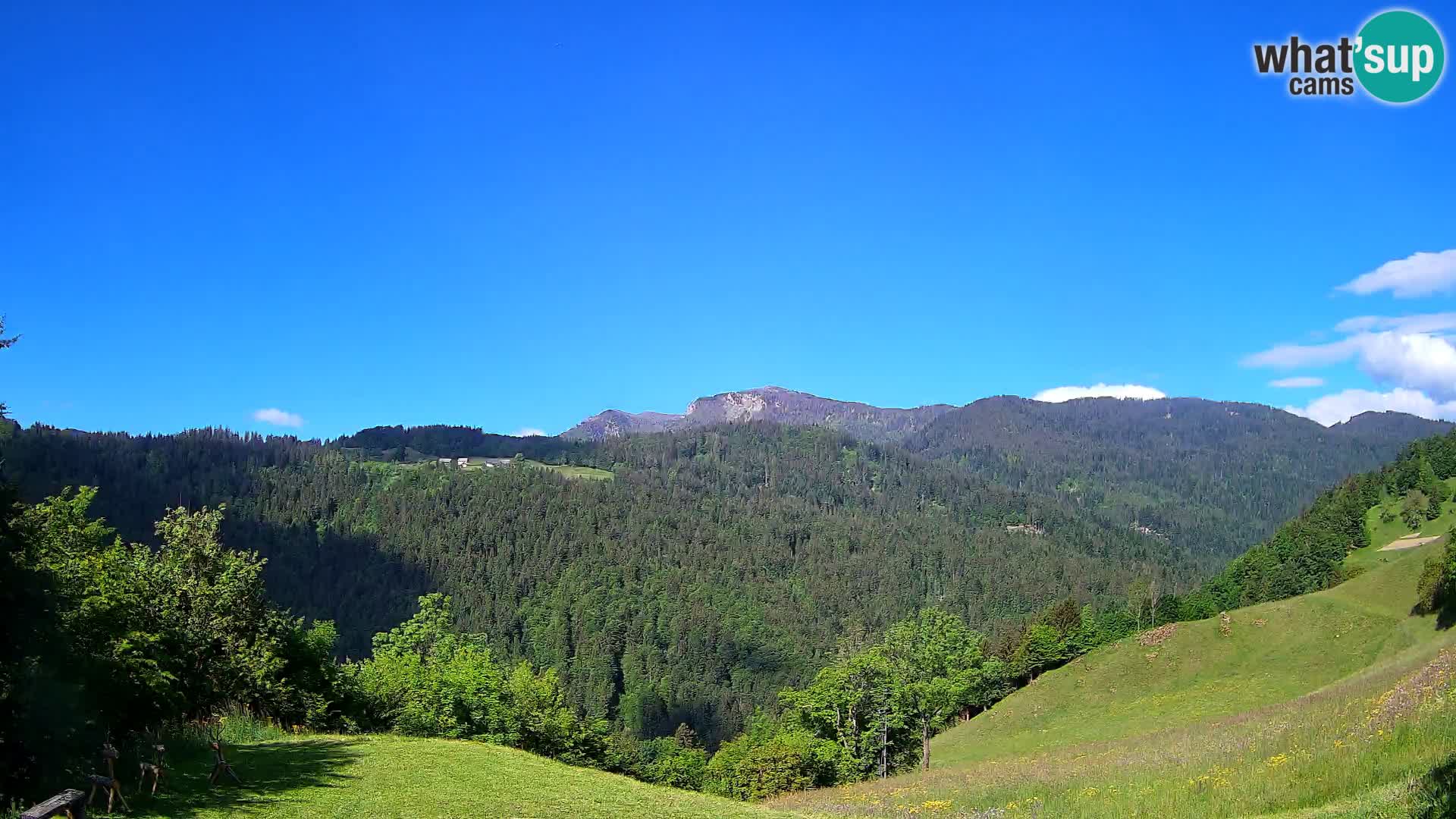 Webcam Brunarica Dražgoše – Live View of Ratitovec (1666 m)