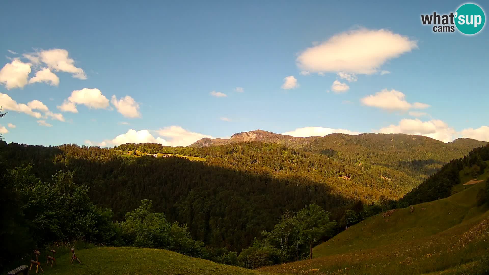 Webcam Brunarica Dražgoše – Live View of Ratitovec (1666 m)