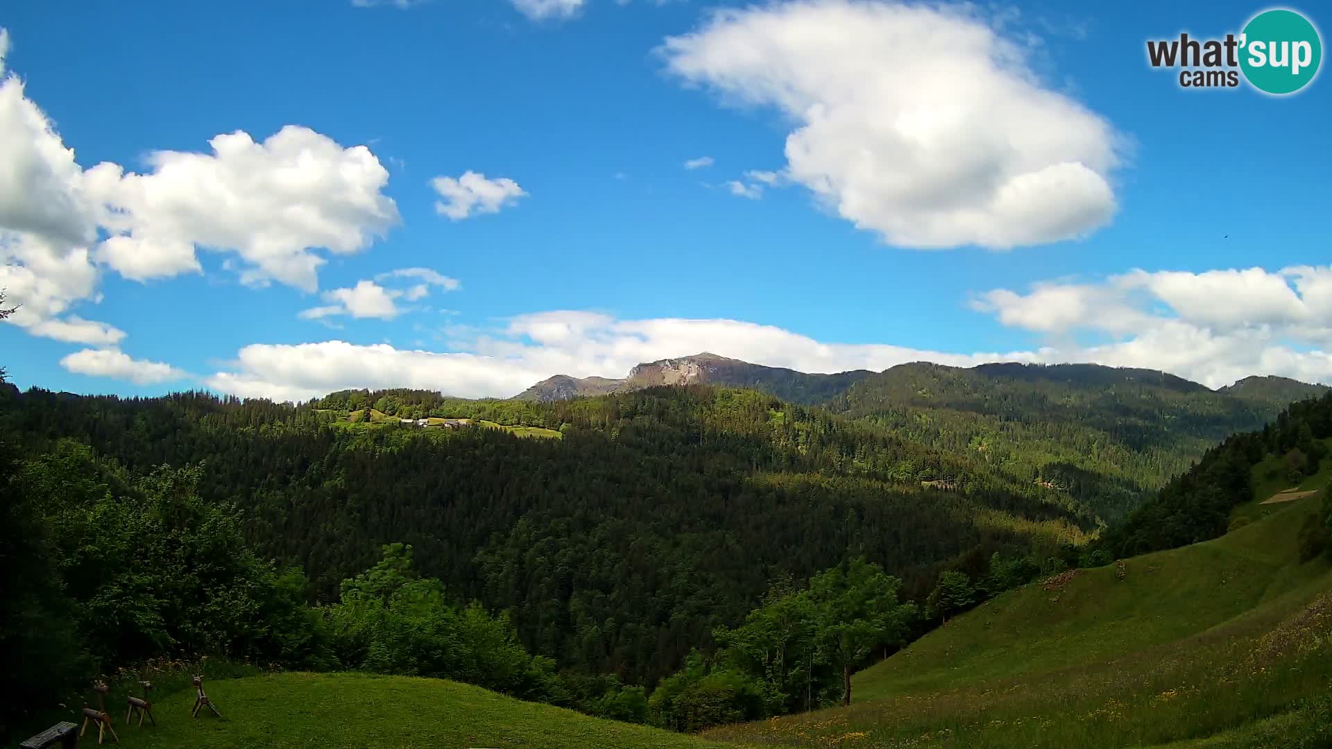 Webcam Brunarica Dražgoše – Live View of Ratitovec (1666 m)
