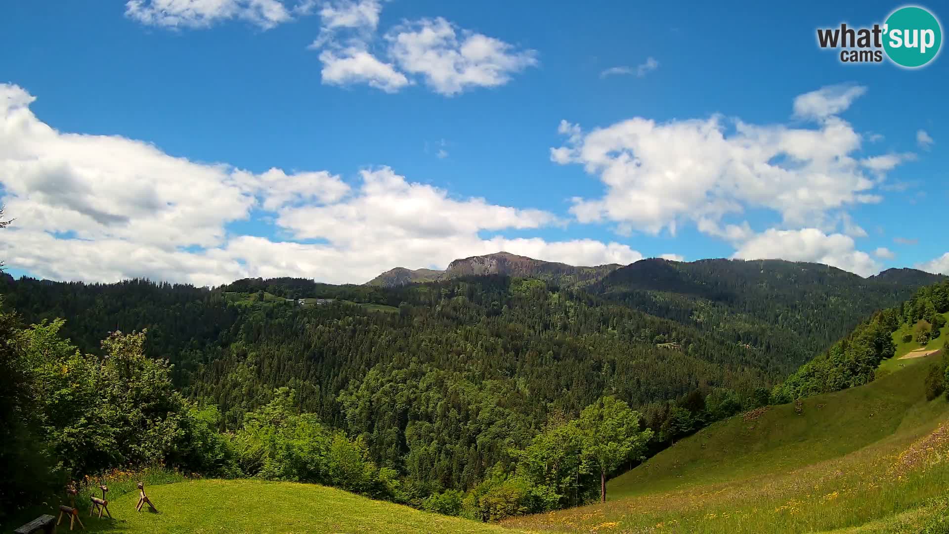 Web kamera Brunarica Dražgoše – Pogled uživo na Ratitovec (1666 m)