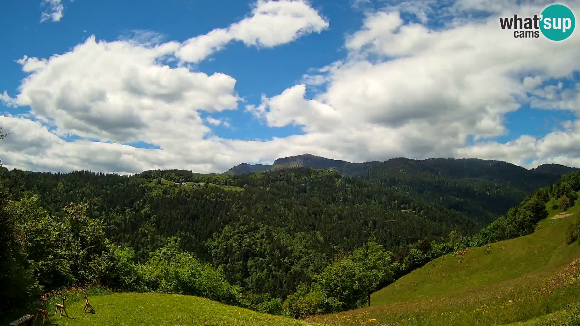 Webcam Brunarica Dražgoše – Live View of Ratitovec (1666 m)