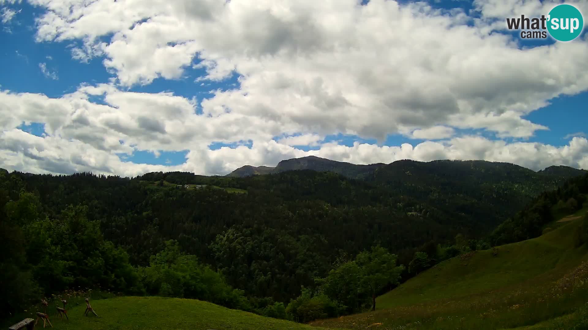 Web kamera Brunarica Dražgoše – Pogled uživo na Ratitovec (1666 m)