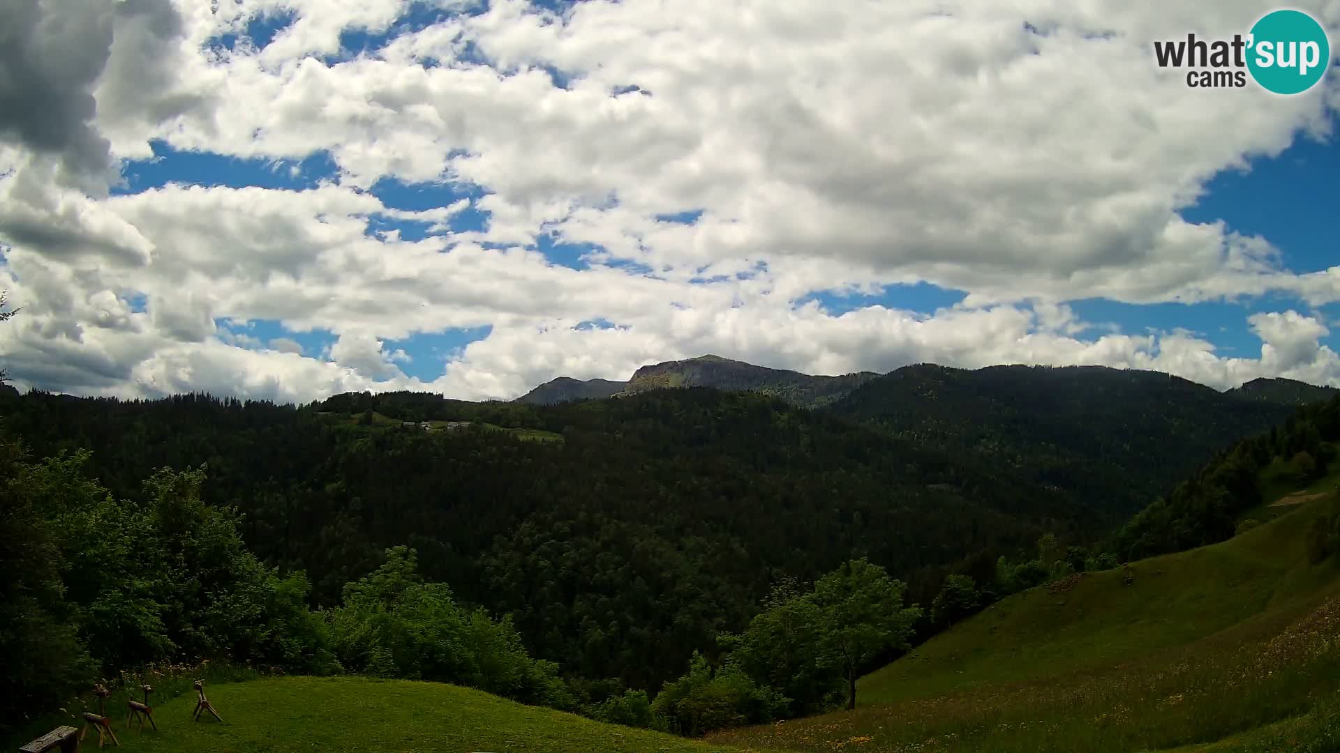 Webcam Brunarica Dražgoše – Live View of Ratitovec (1666 m)