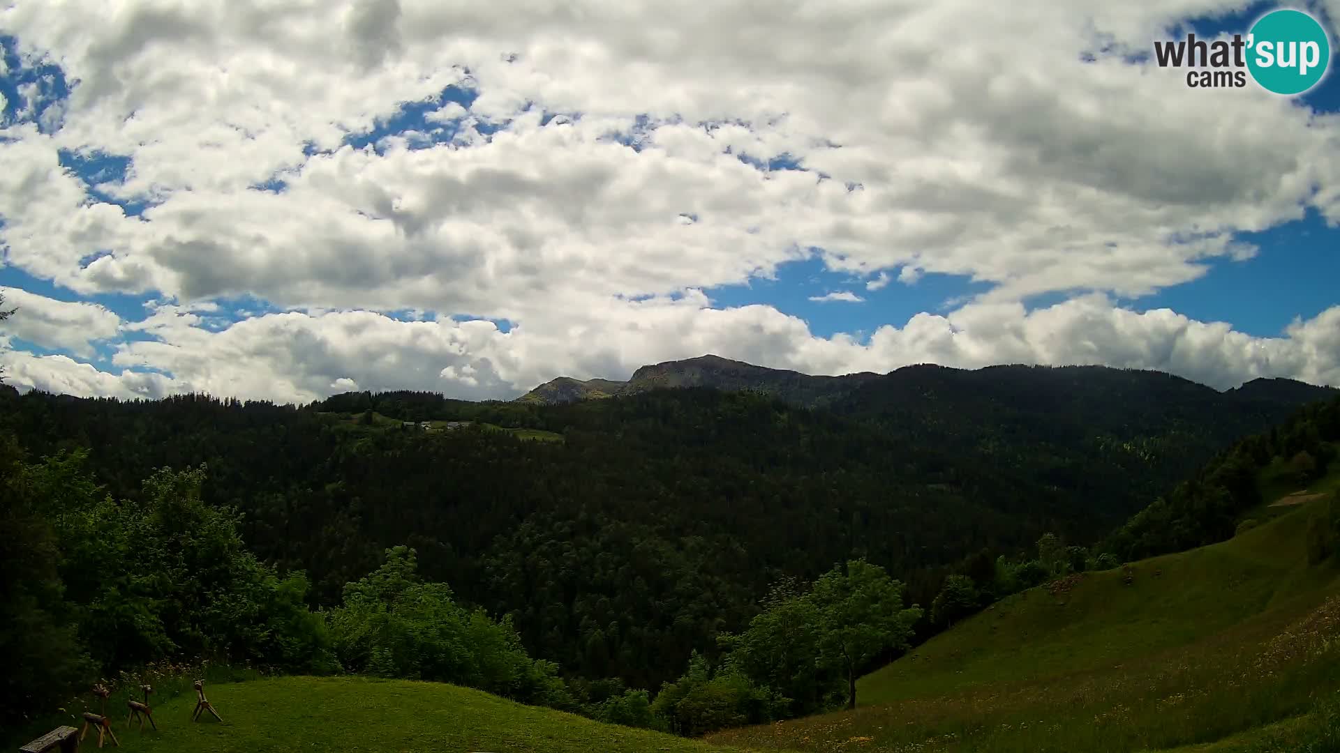 Webcam Brunarica Dražgoše – Live View of Ratitovec (1666 m)