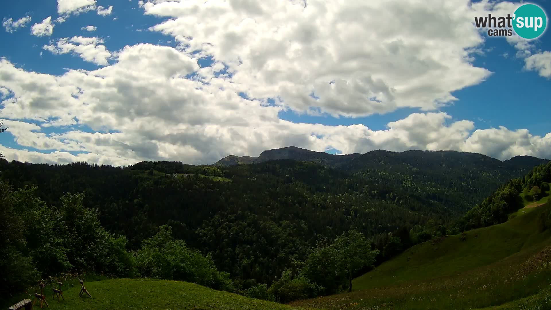 Webcam Brunarica Dražgoše – Live View of Ratitovec (1666 m)