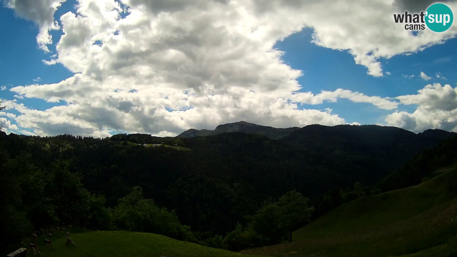 Webcam Brunarica Dražgoše – Live View of Ratitovec (1666 m)