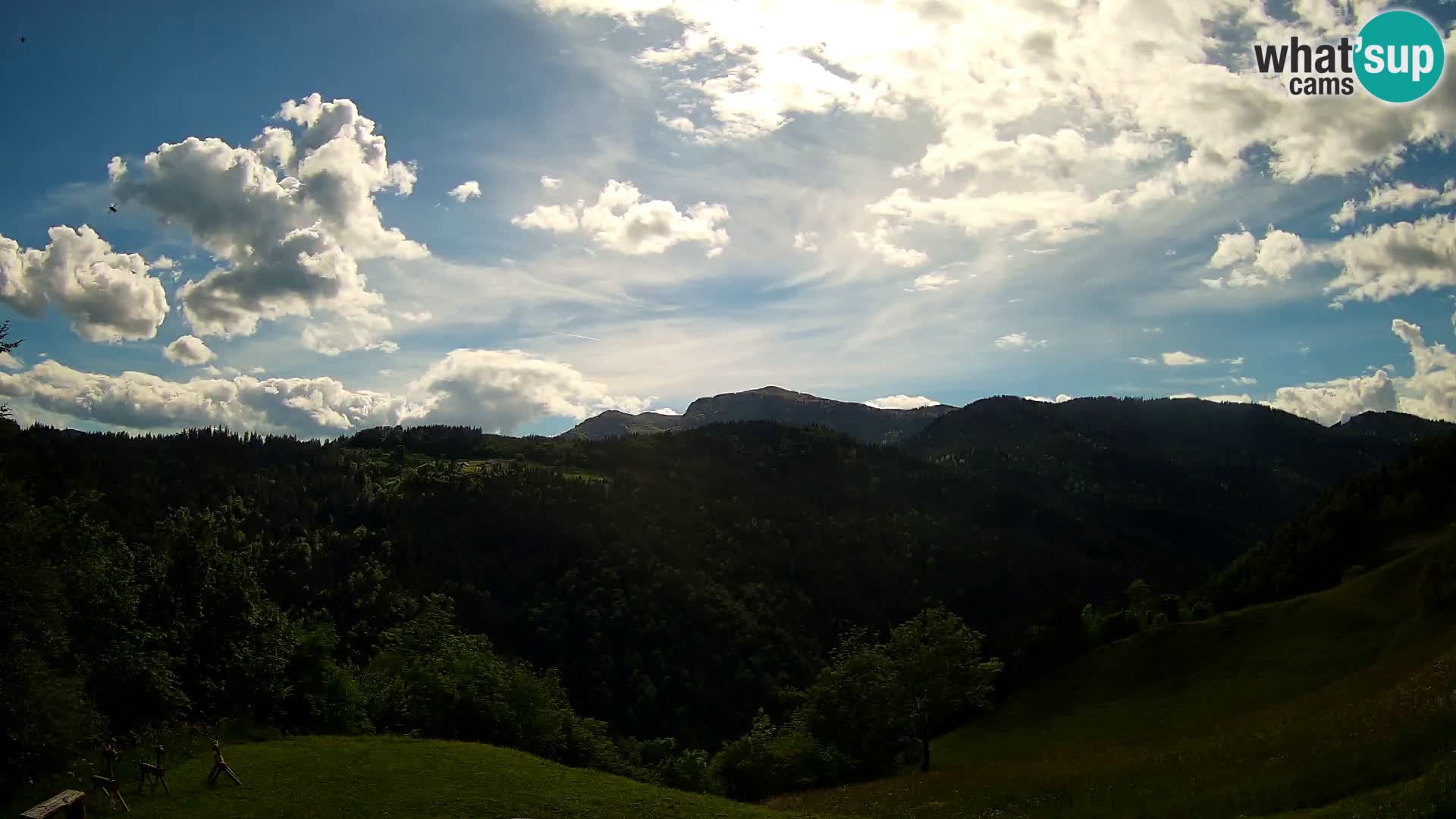 Webcam Brunarica Dražgoše – Live View of Ratitovec (1666 m)
