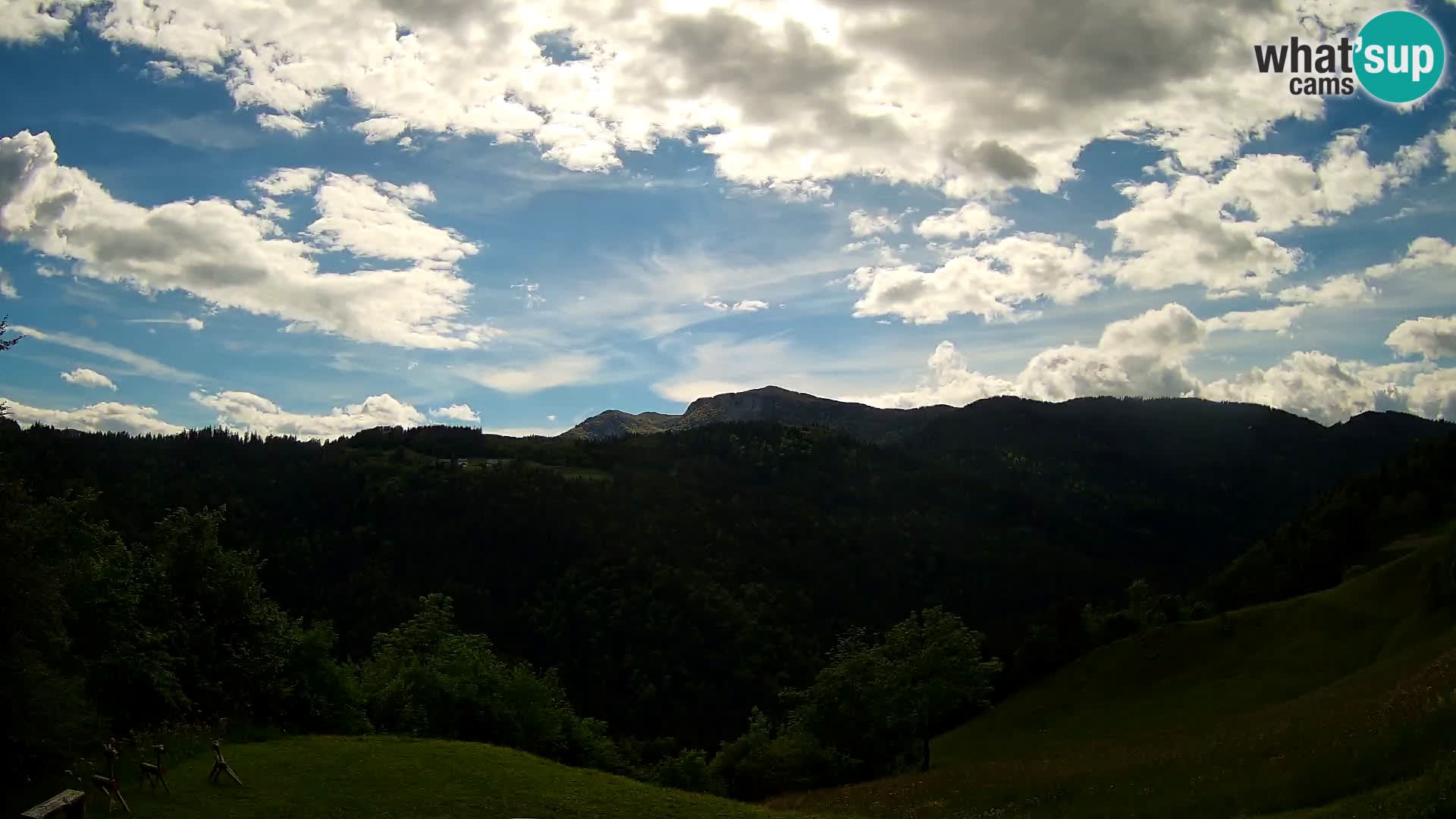 Webcam Brunarica Dražgoše – Live View of Ratitovec (1666 m)