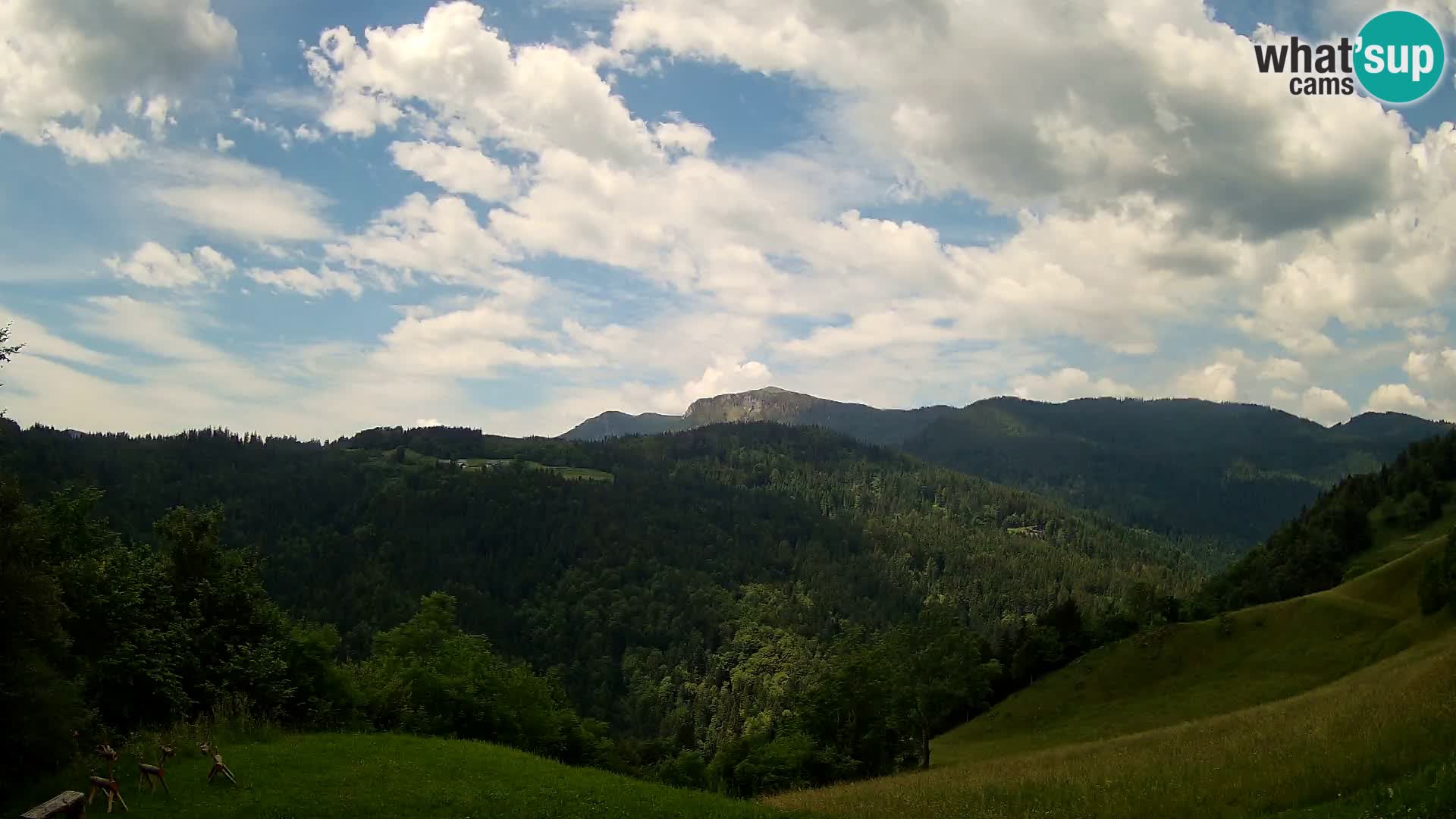 Webcam Brunarica Dražgoše – Live View of Ratitovec (1666 m)