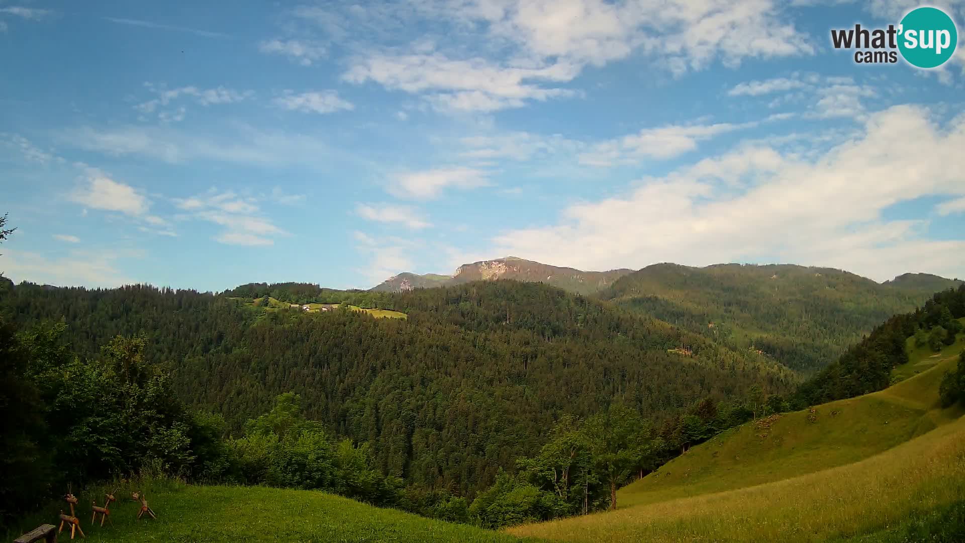 Webcam Brunarica Dražgoše – Live View of Ratitovec (1666 m)
