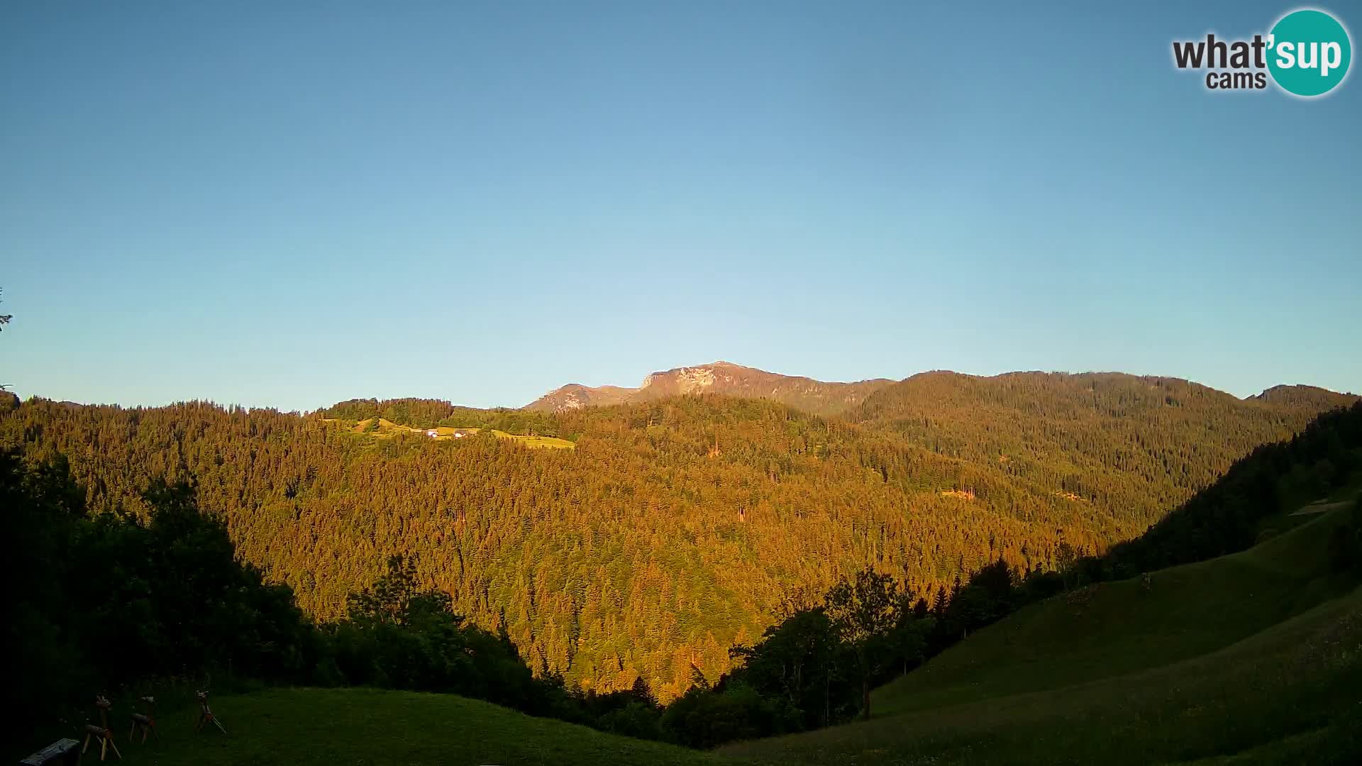 Webcam Brunarica Dražgoše – Live View of Ratitovec (1666 m)