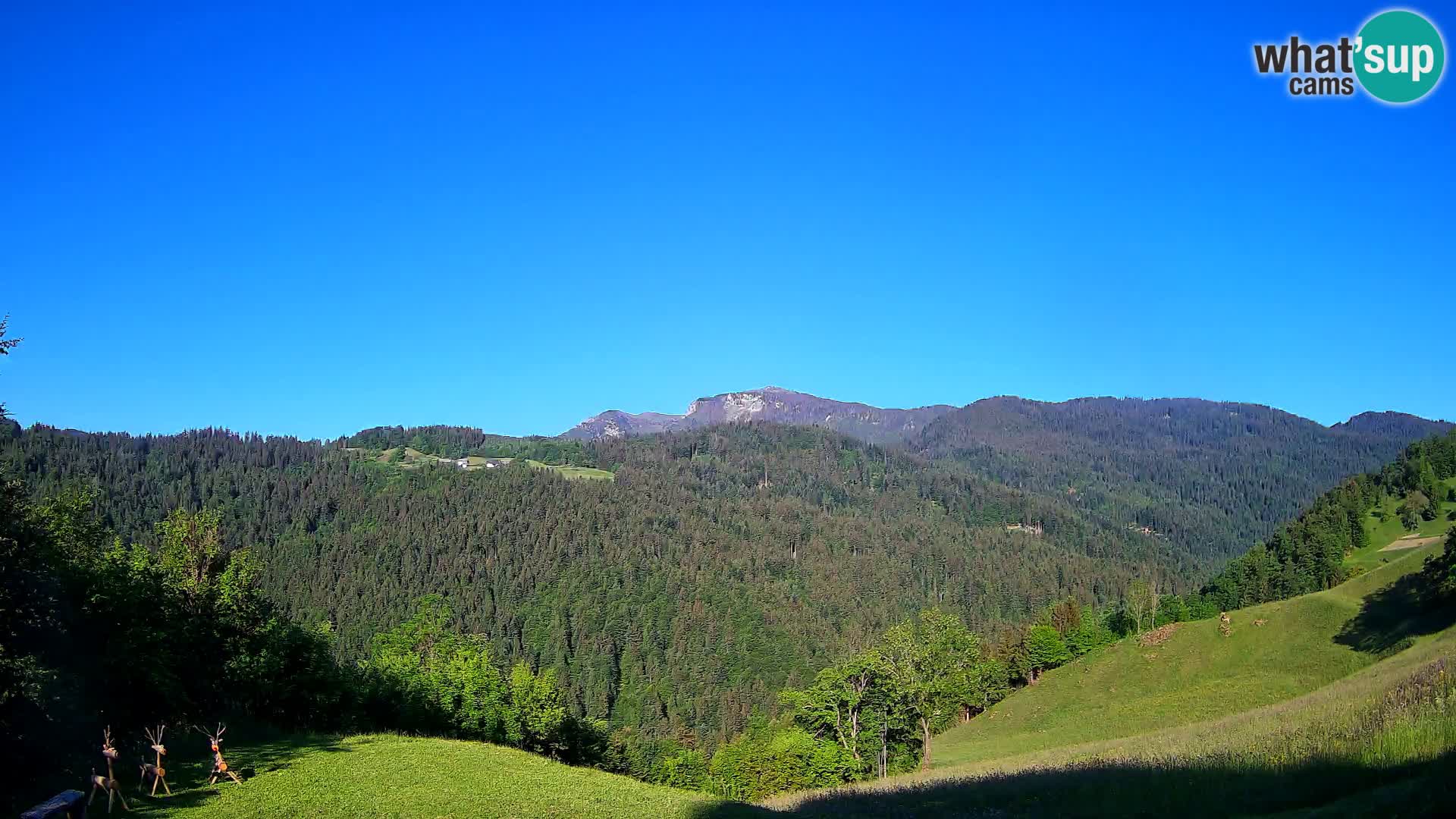 Webcam Brunarica Dražgoše – Live View of Ratitovec (1666 m)