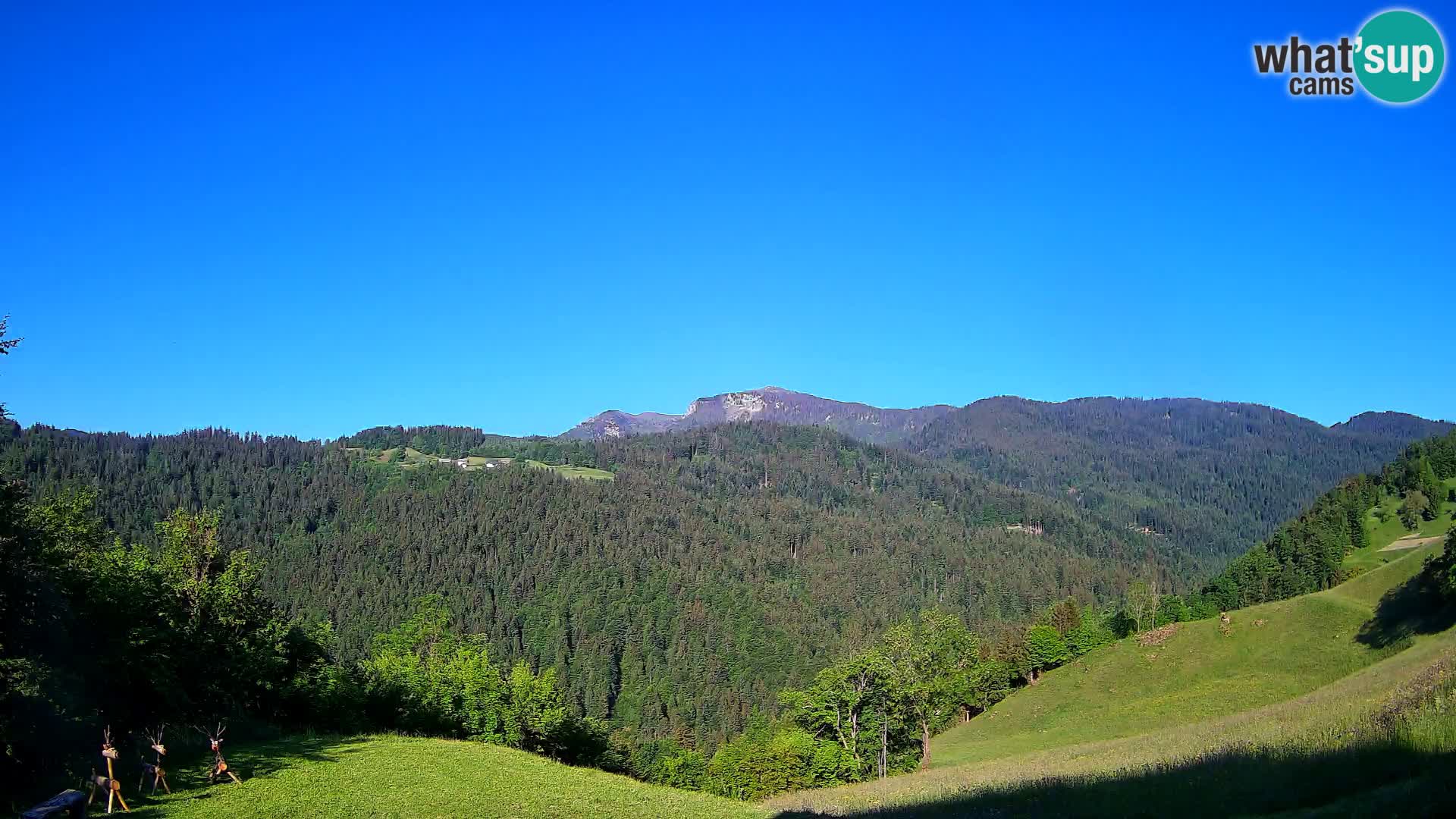 Spletna kamera Brunarica Dražgoše – Pogled v živo na Ratitovec (1666 m)