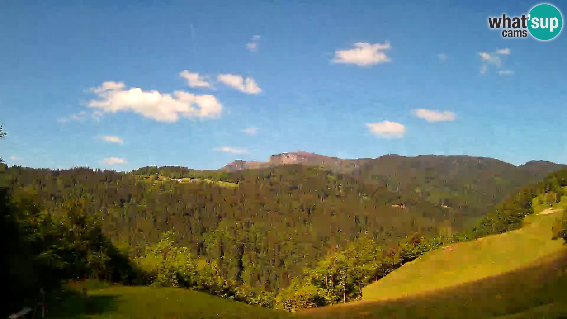 Webcam Brunarica Dražgoše – Live View of Ratitovec (1666 m)