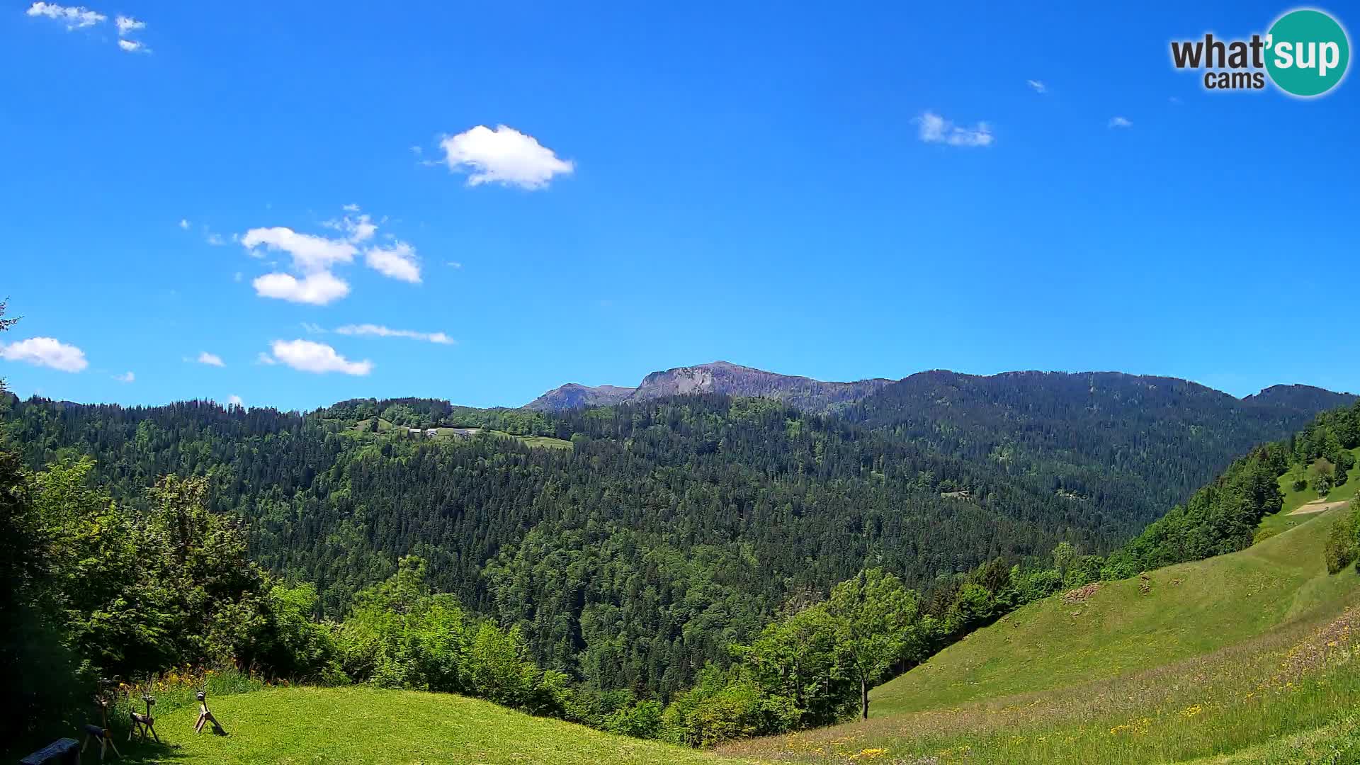 Webcam Brunarica Dražgoše – Vista live sul Ratitovec (1666 m)