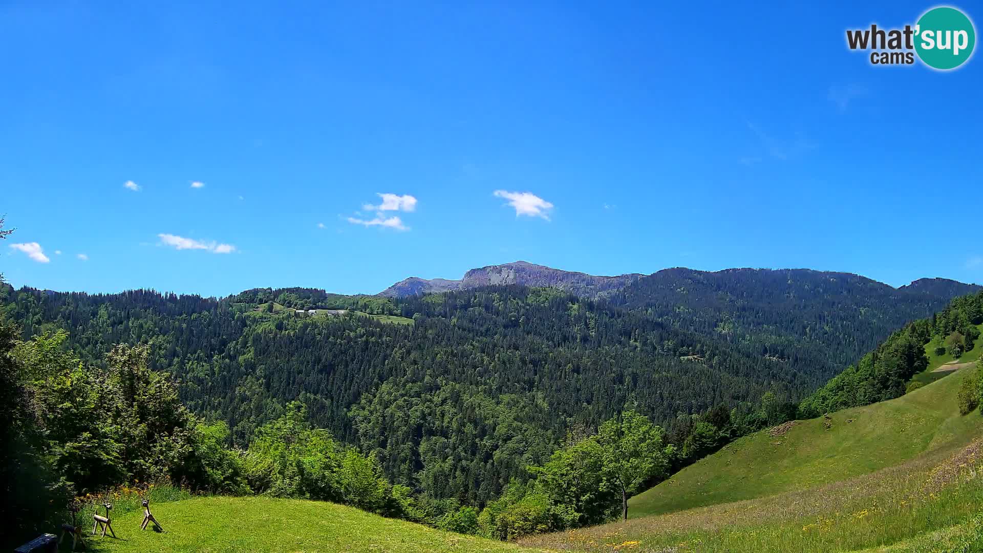 Web kamera Brunarica Dražgoše – Pogled uživo na Ratitovec (1666 m)