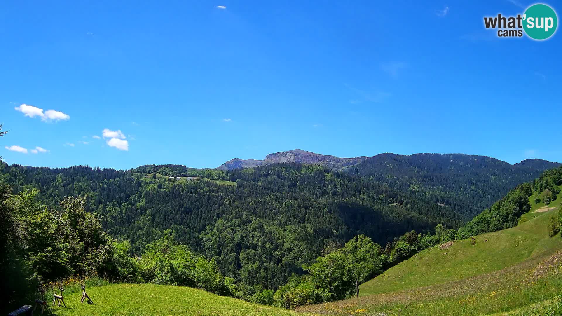 Webcam Brunarica Dražgoše – Vista live sul Ratitovec (1666 m)
