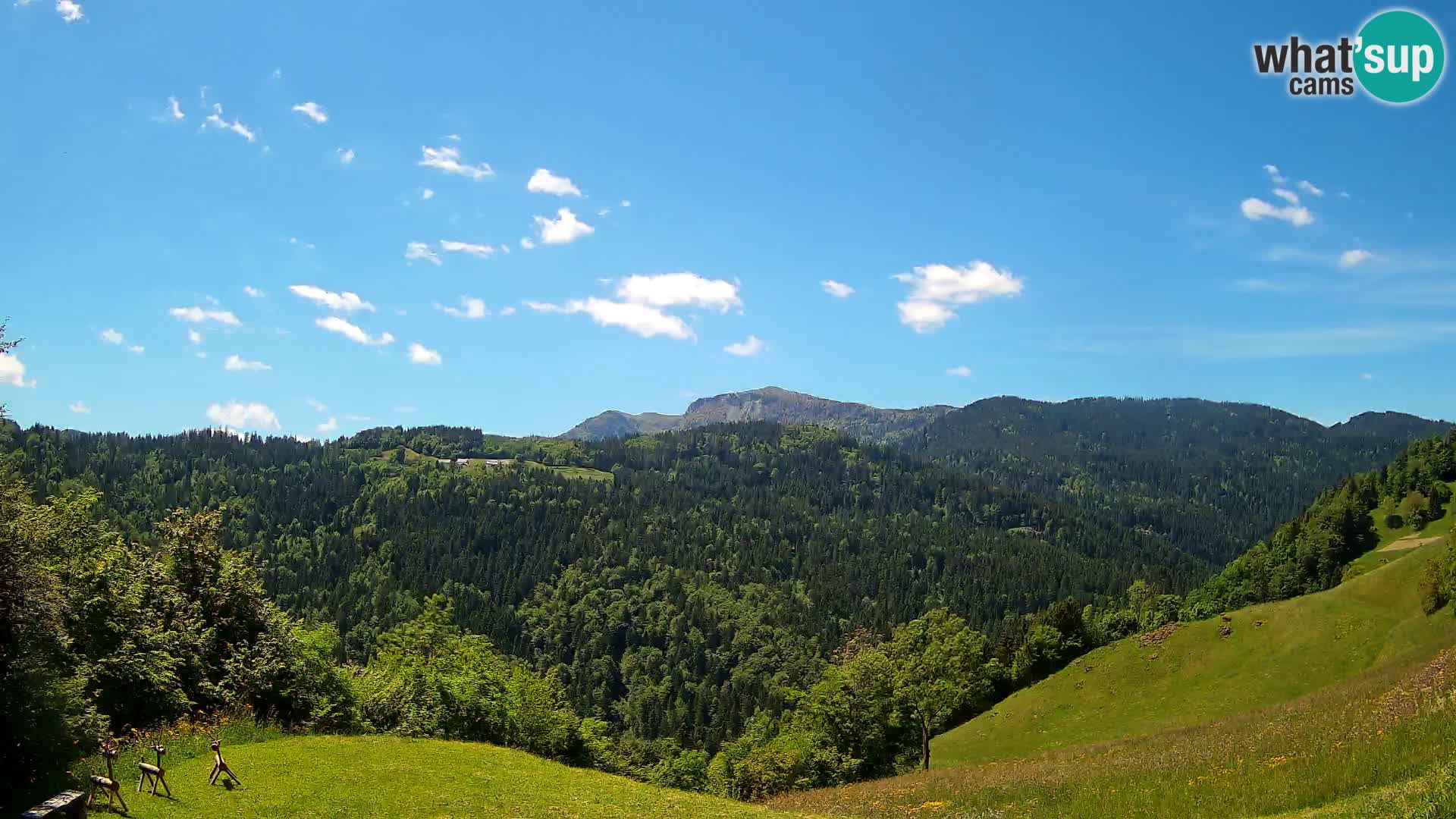 Webcam Brunarica Dražgoše – Live View of Ratitovec (1666 m)